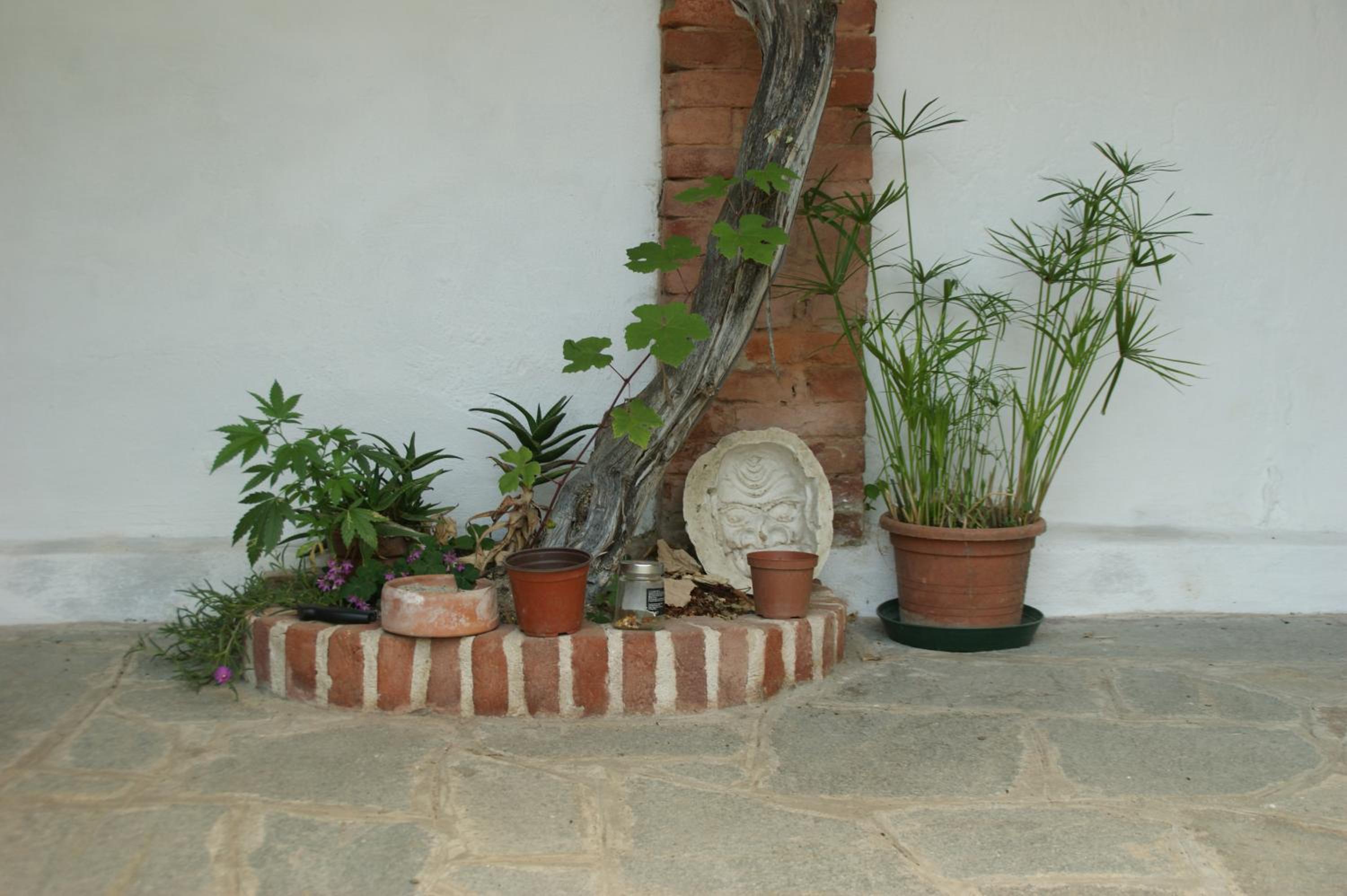 Villa Maddalena