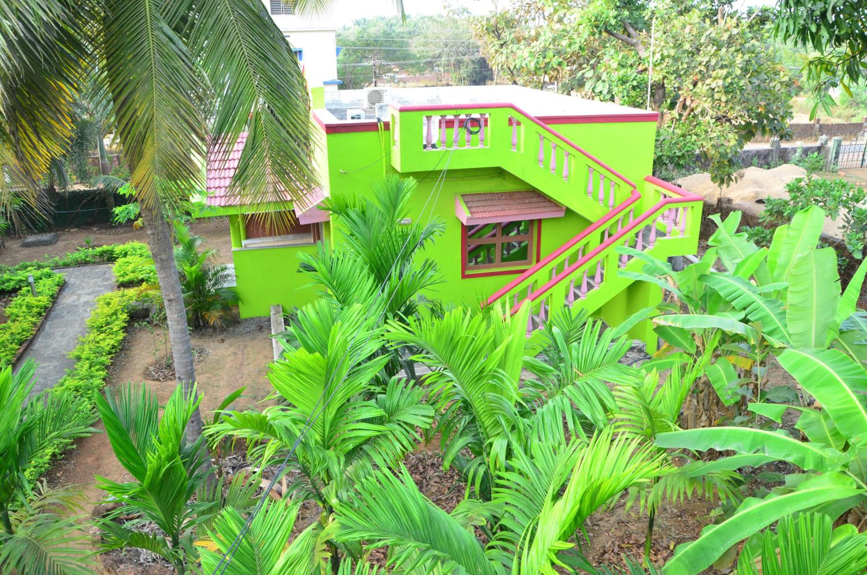 garden