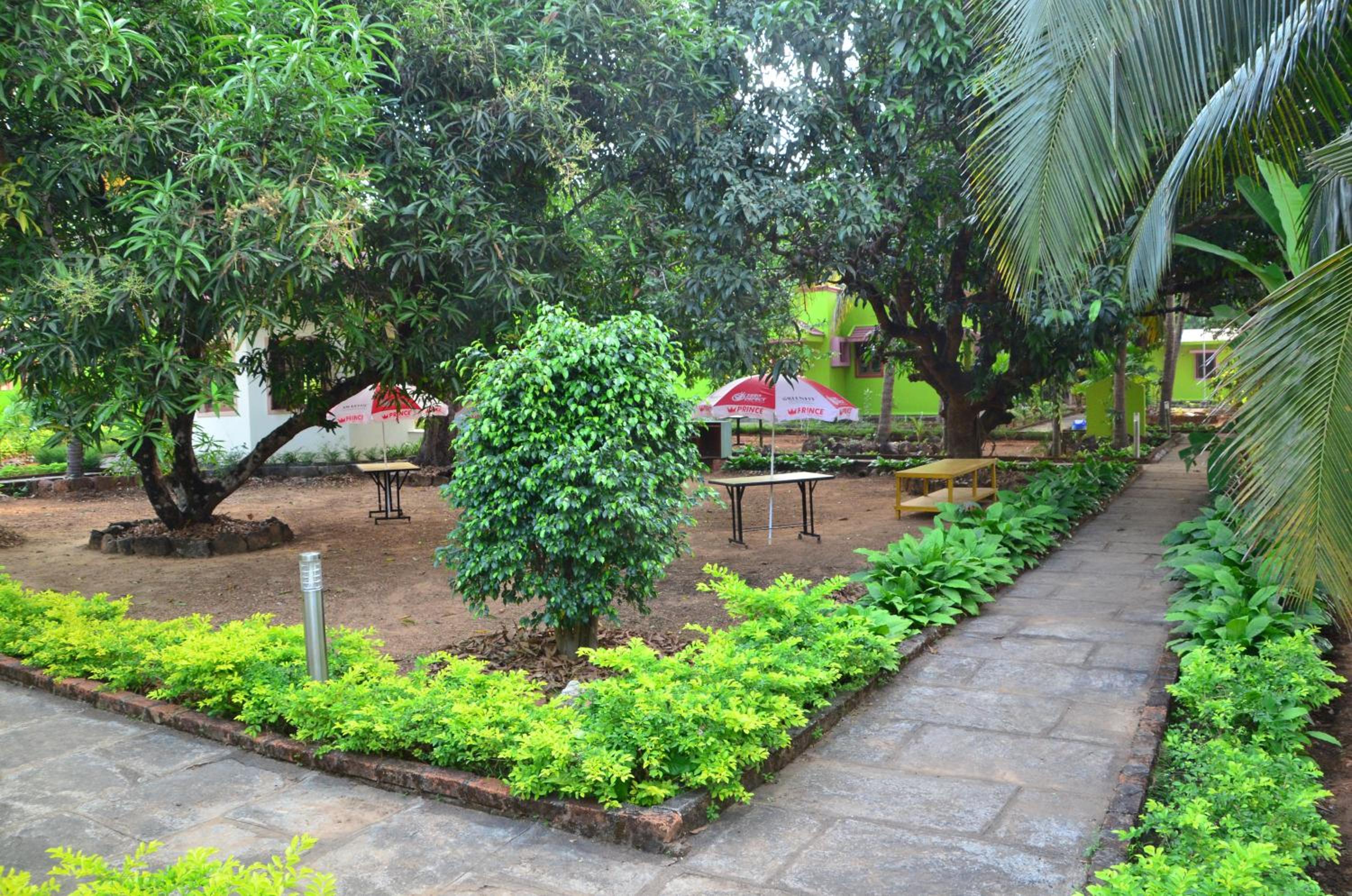 garden