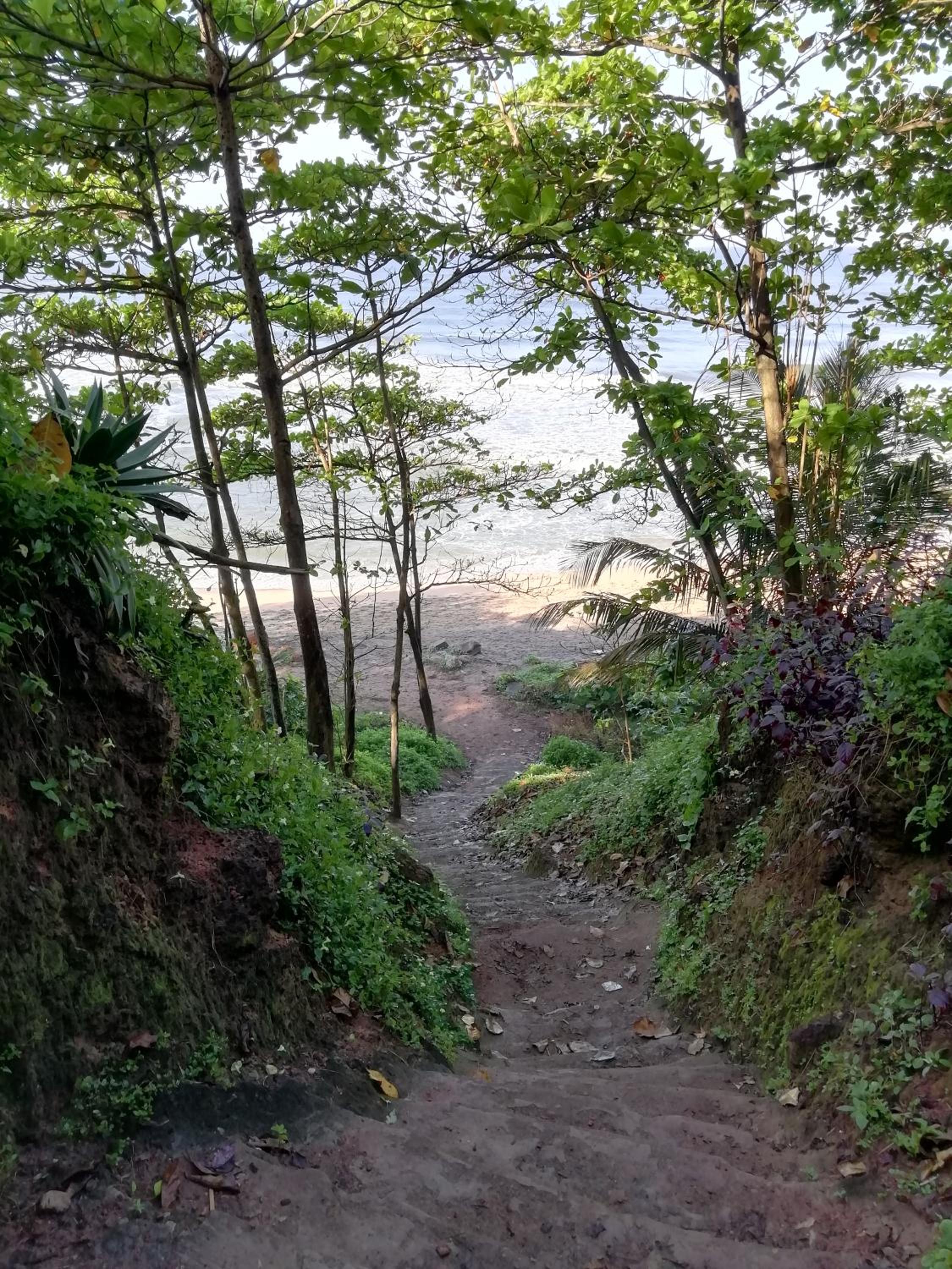 The Boho County view 4