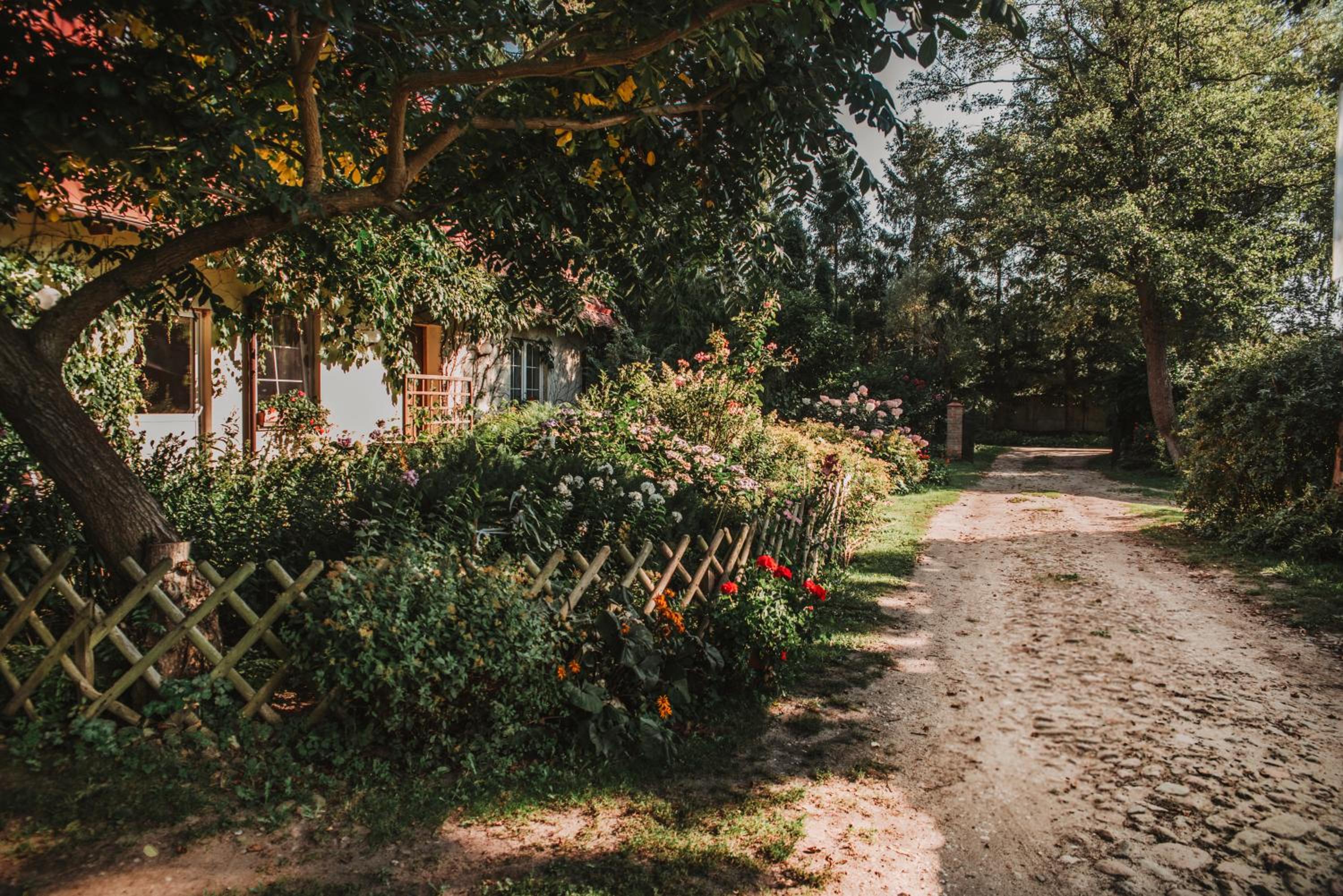 Photo 22