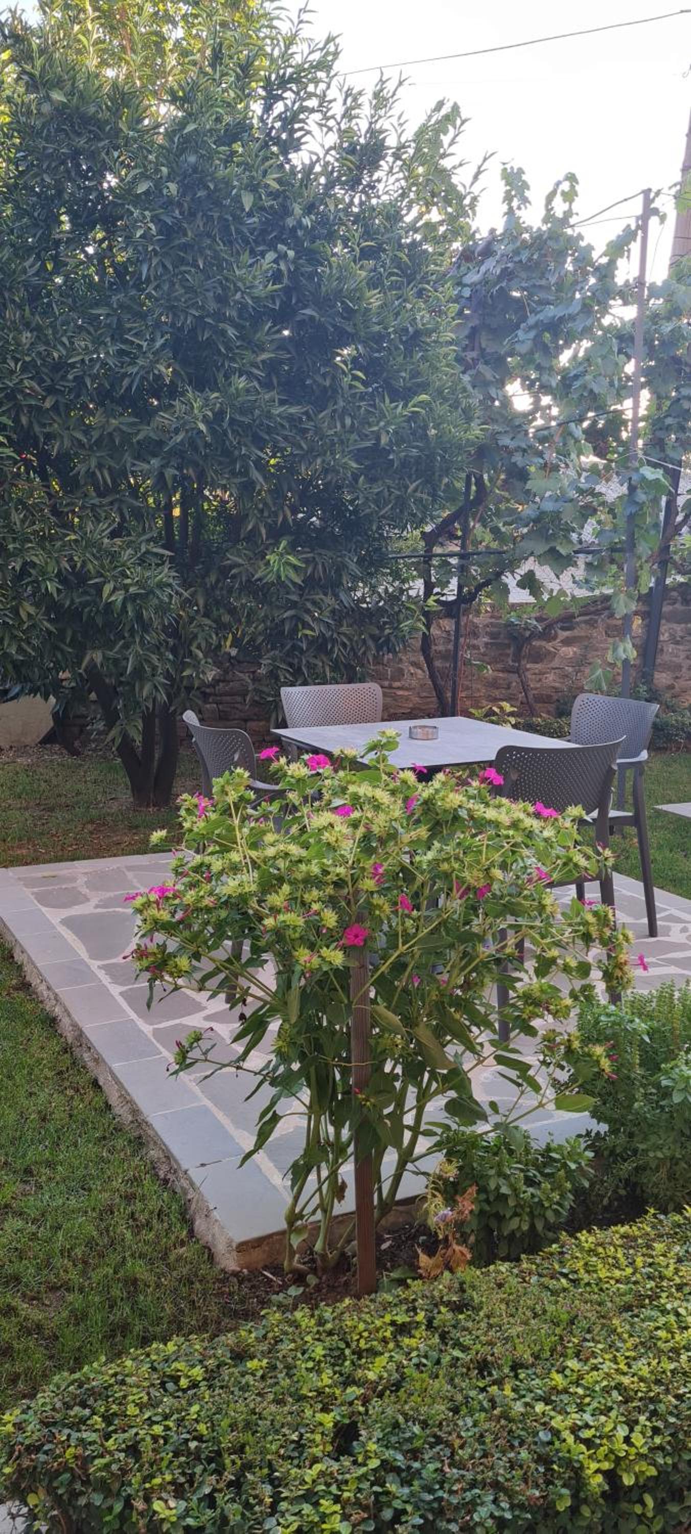 Garden Guest House
