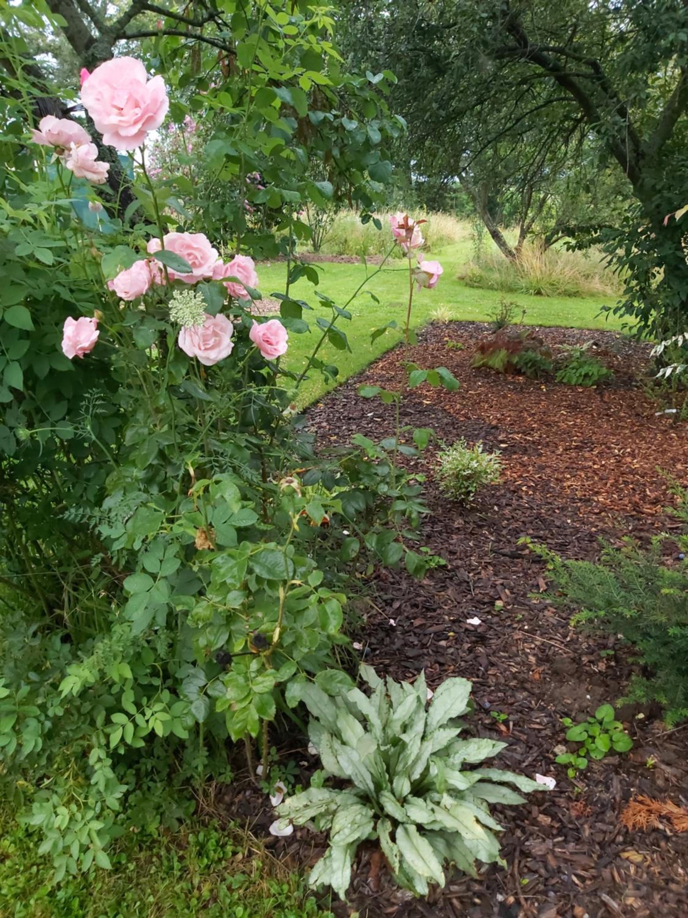 Gite du jardin du Bout du Ciel