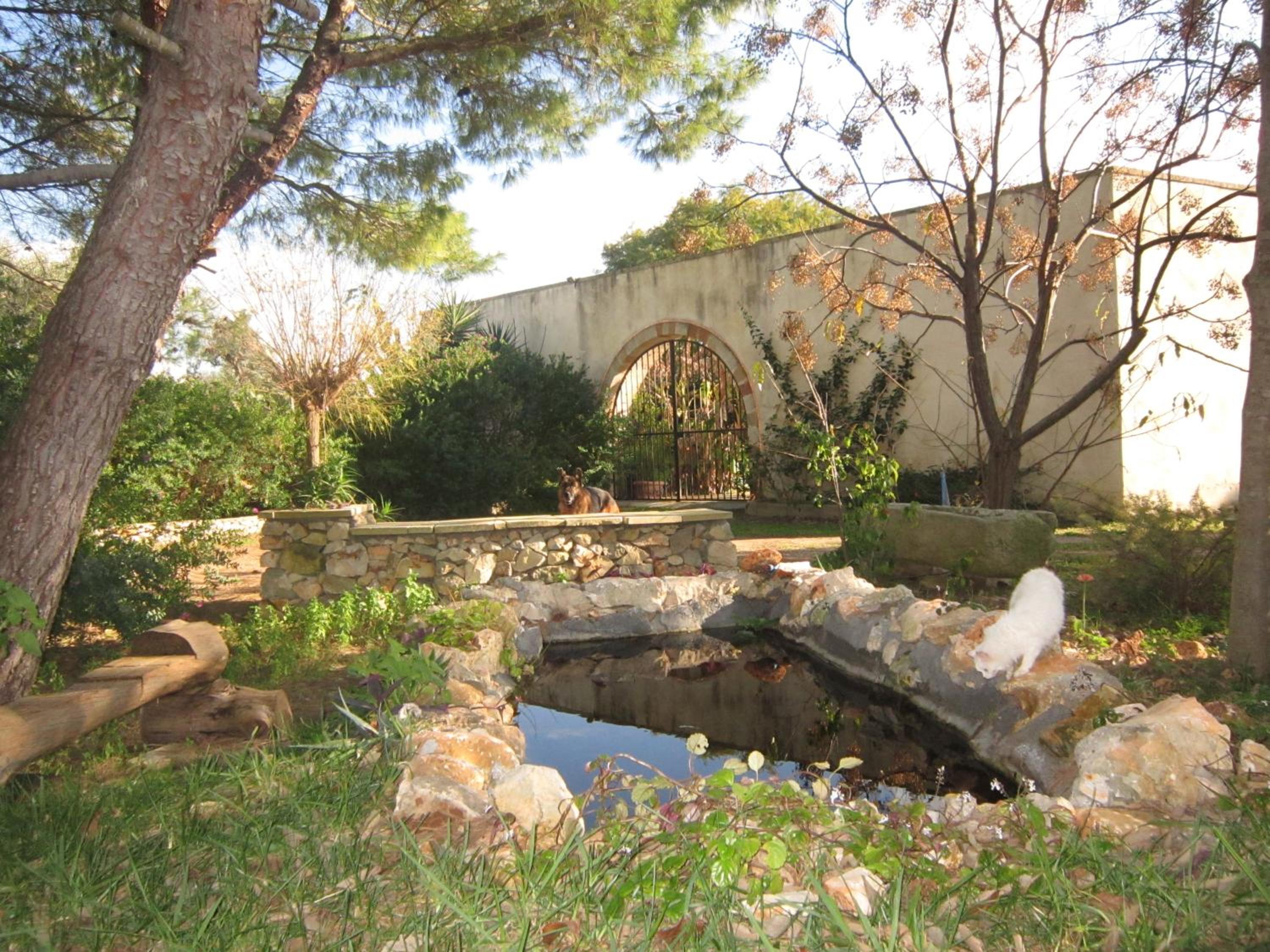 Photo 15