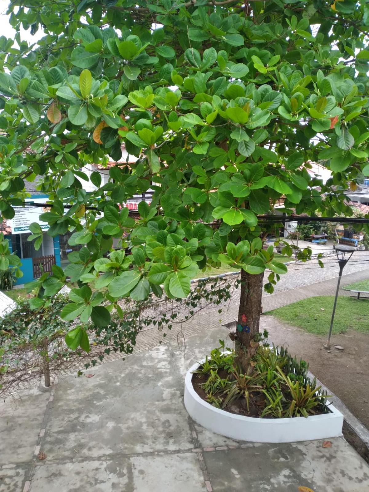 Photo 21