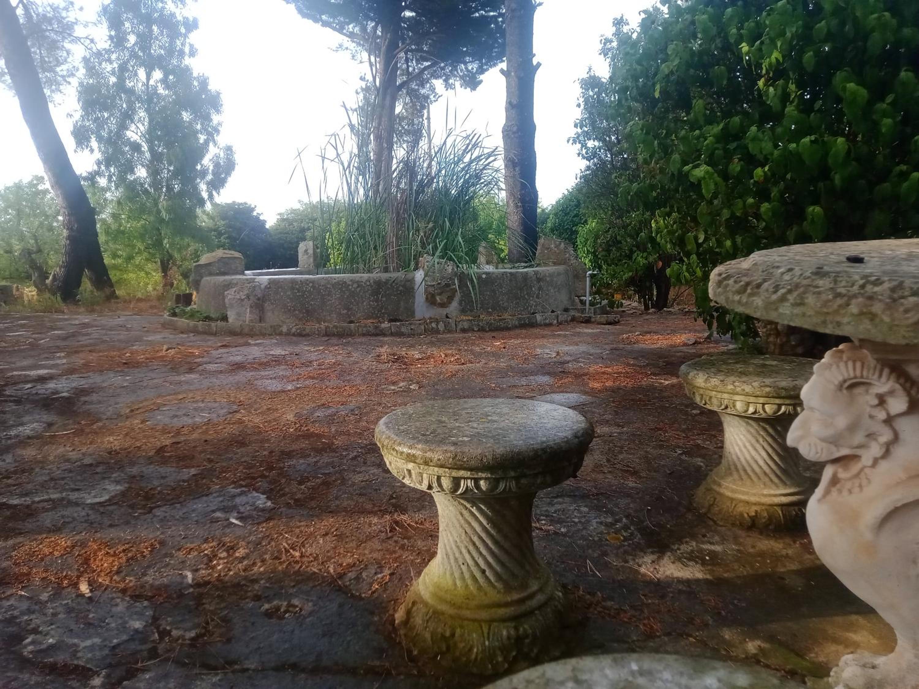 Agriturismo Teatro del grano view 5