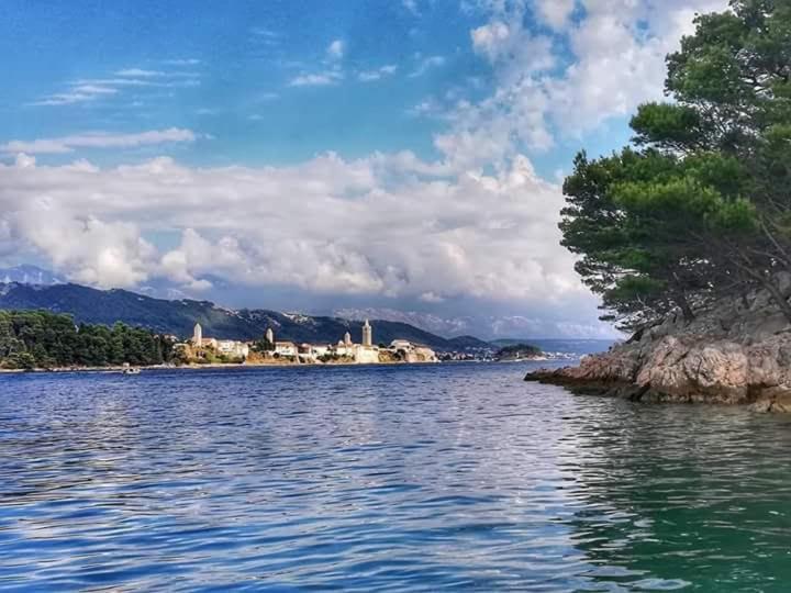 APARTMANI RUZARIJA