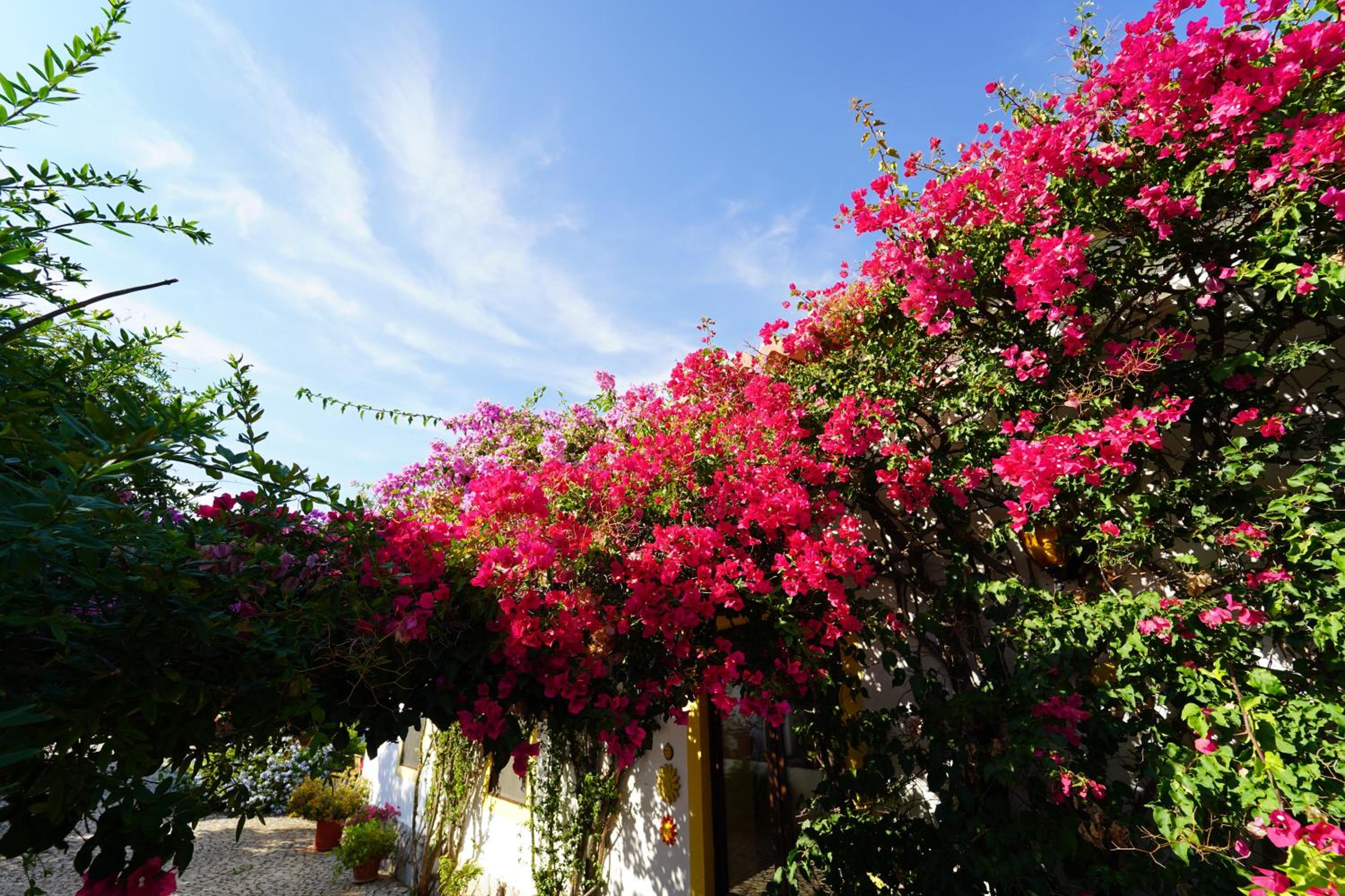 Casa Ferrobo