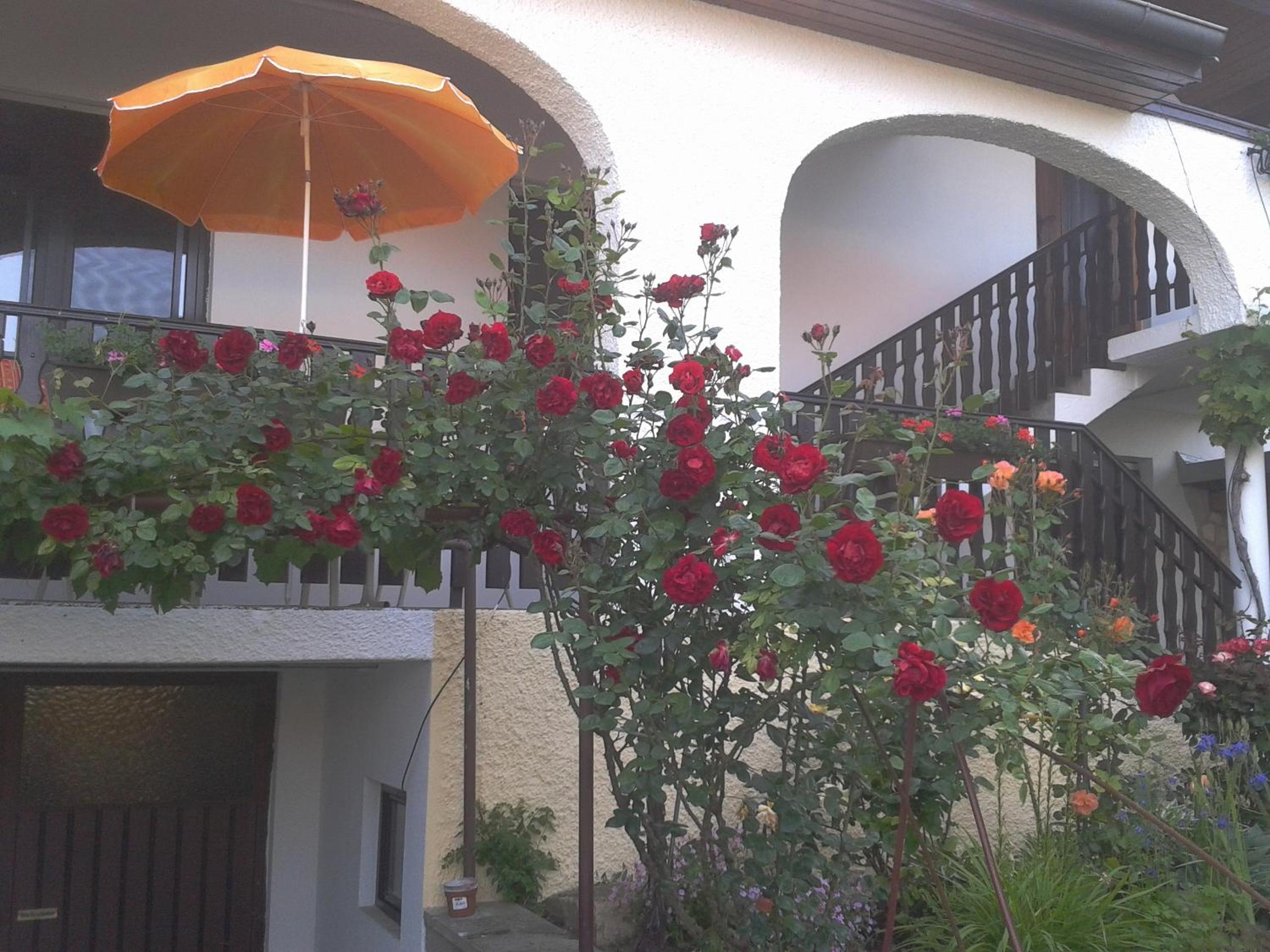 Photo 38