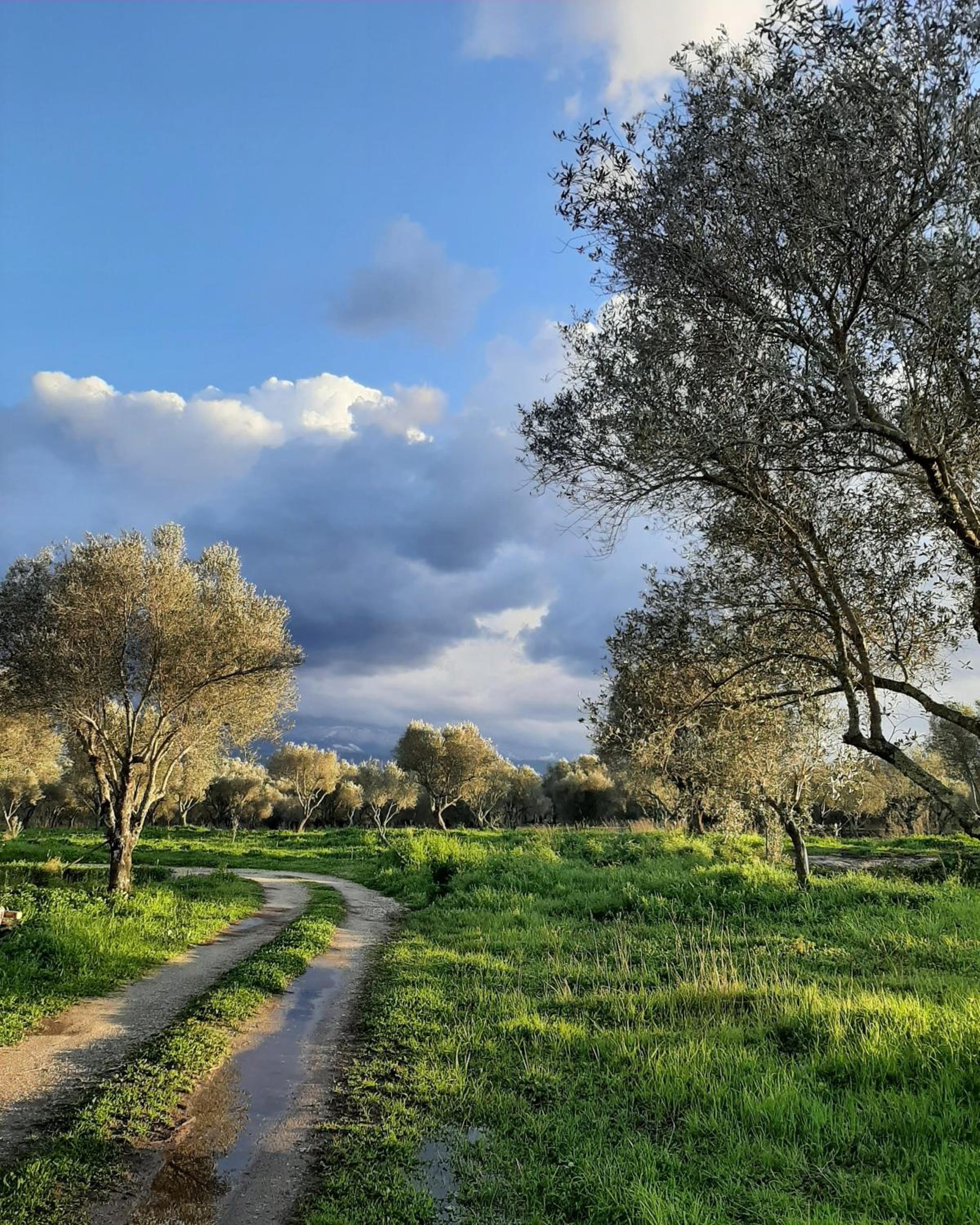 Tenuta Le Tre Querce view 2