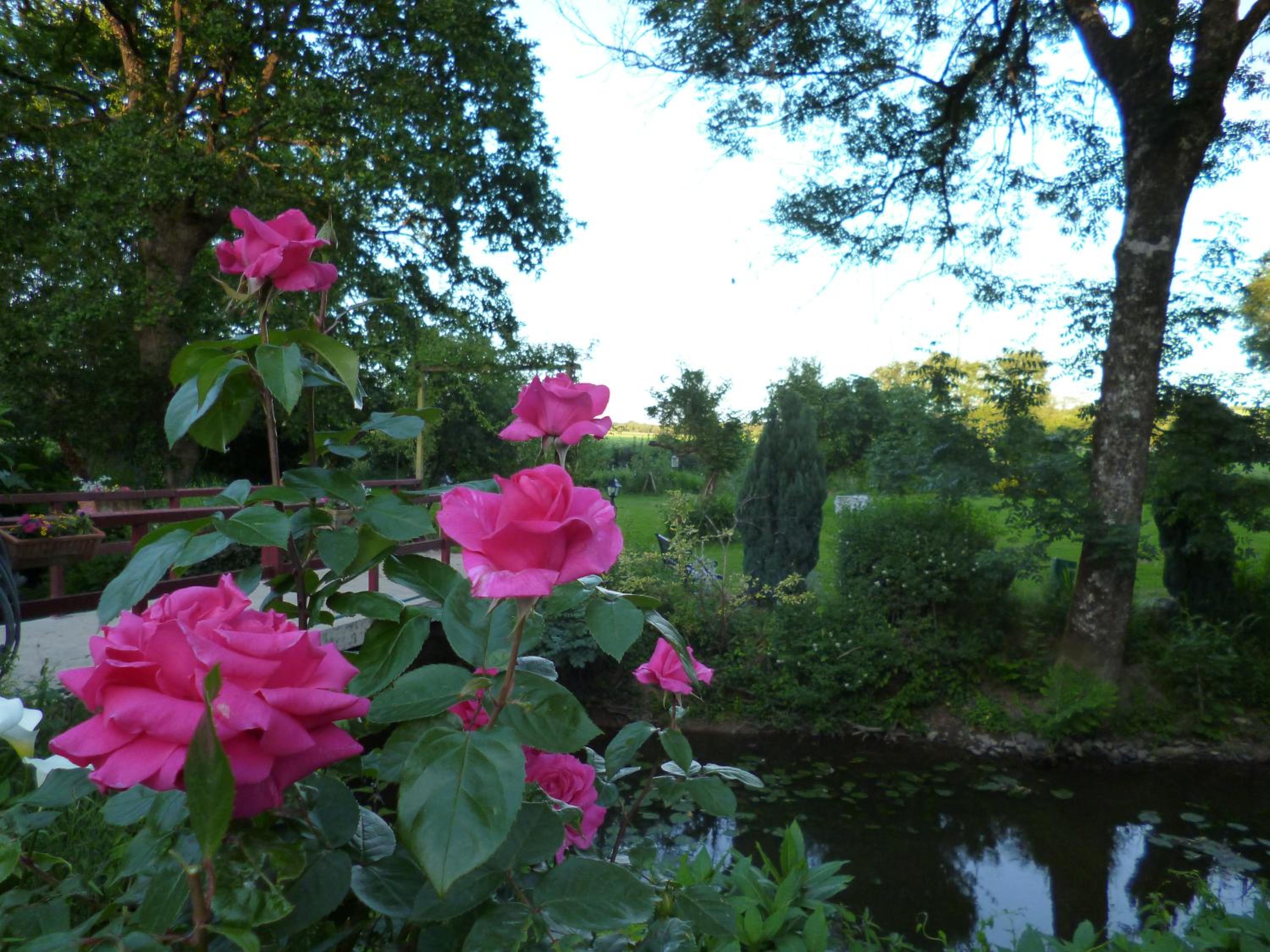 Photo 44