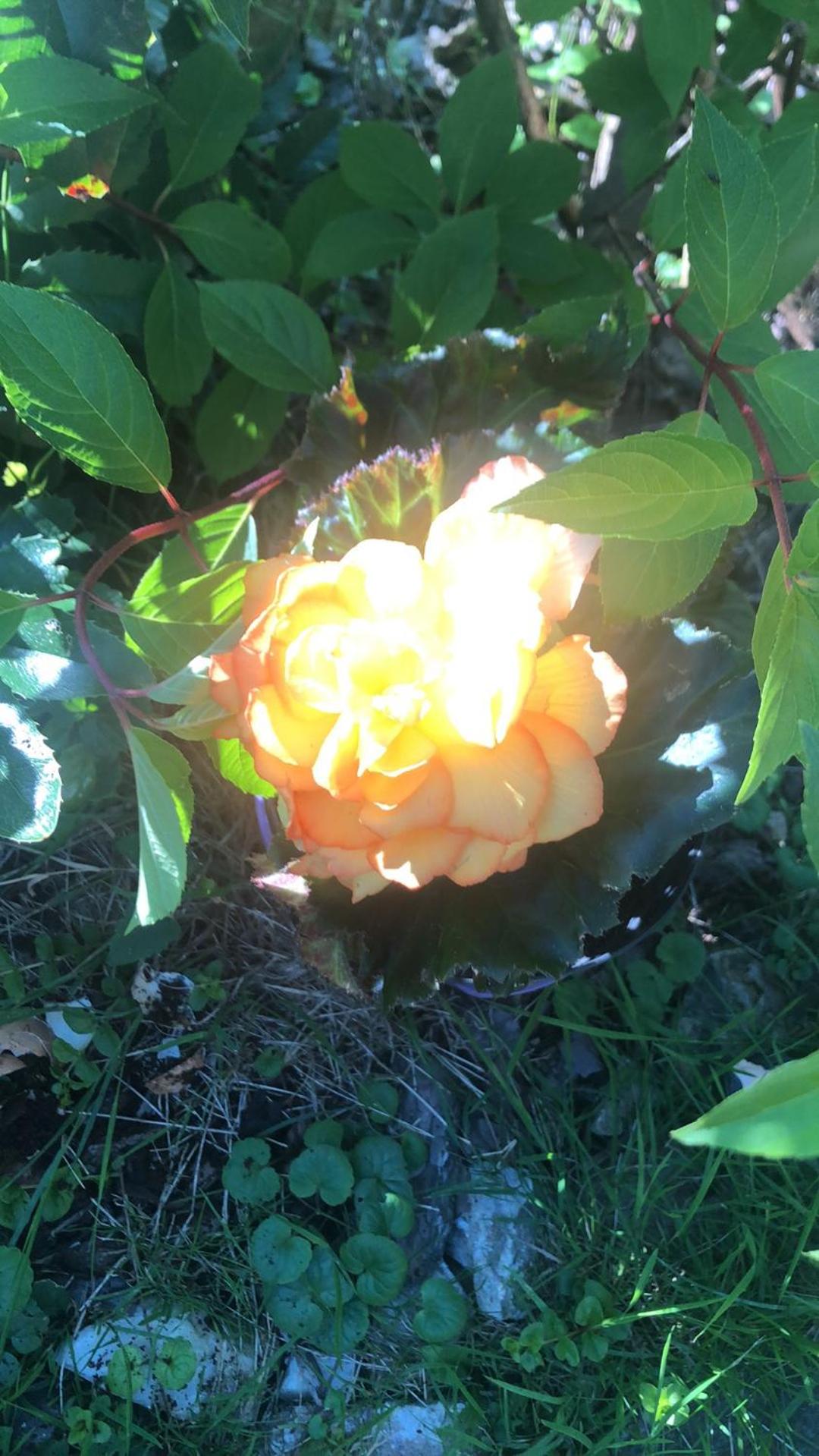 Photo 47