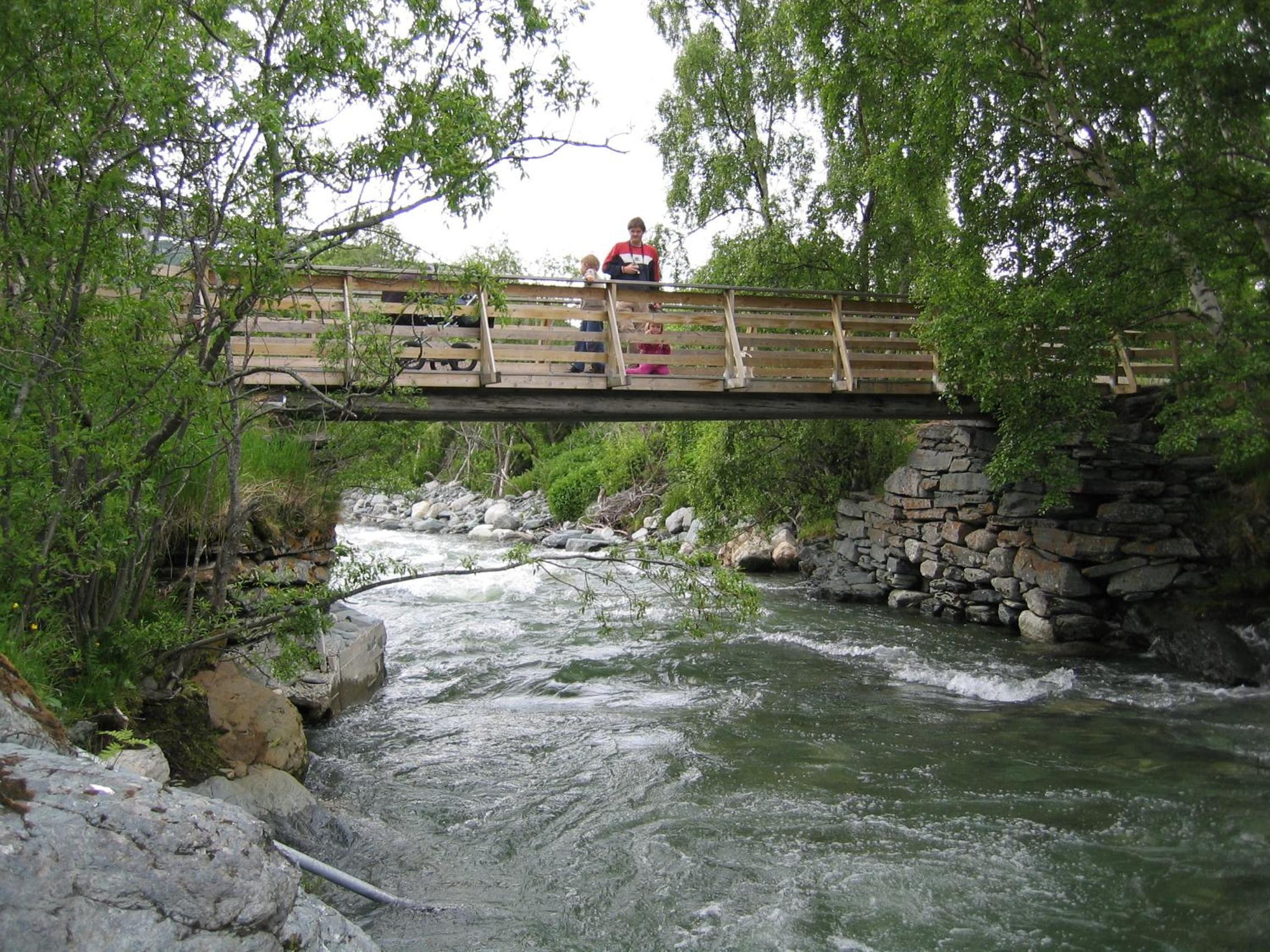 Photo 16
