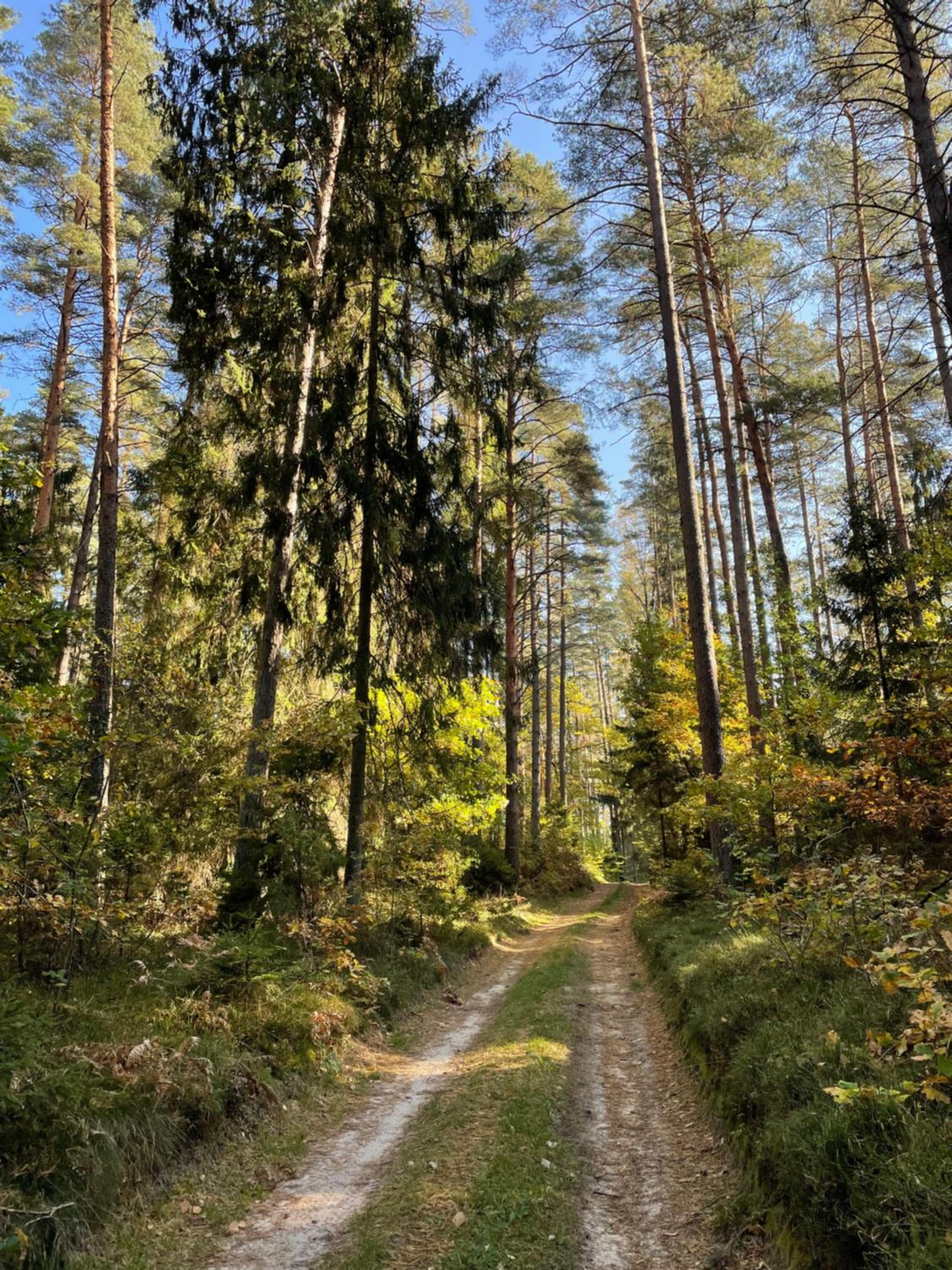 Biały Domek