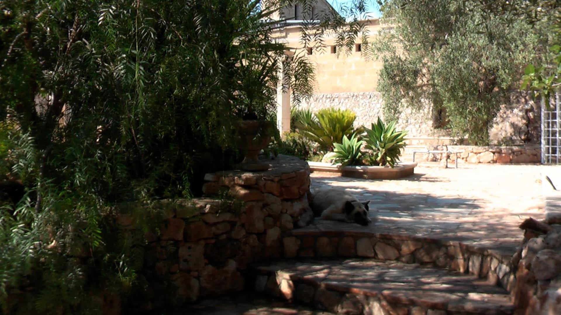 Photo 6