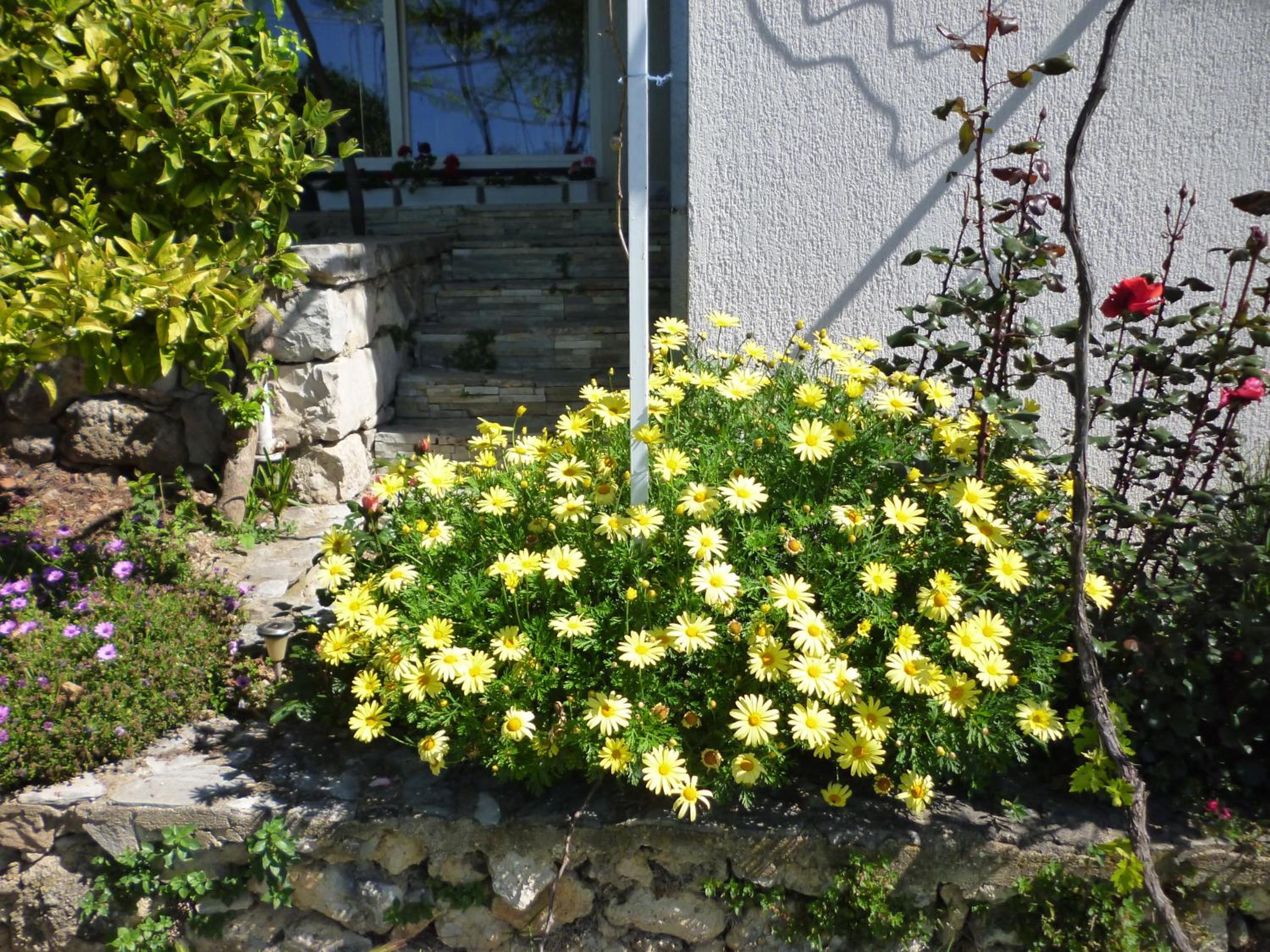 Photo 33