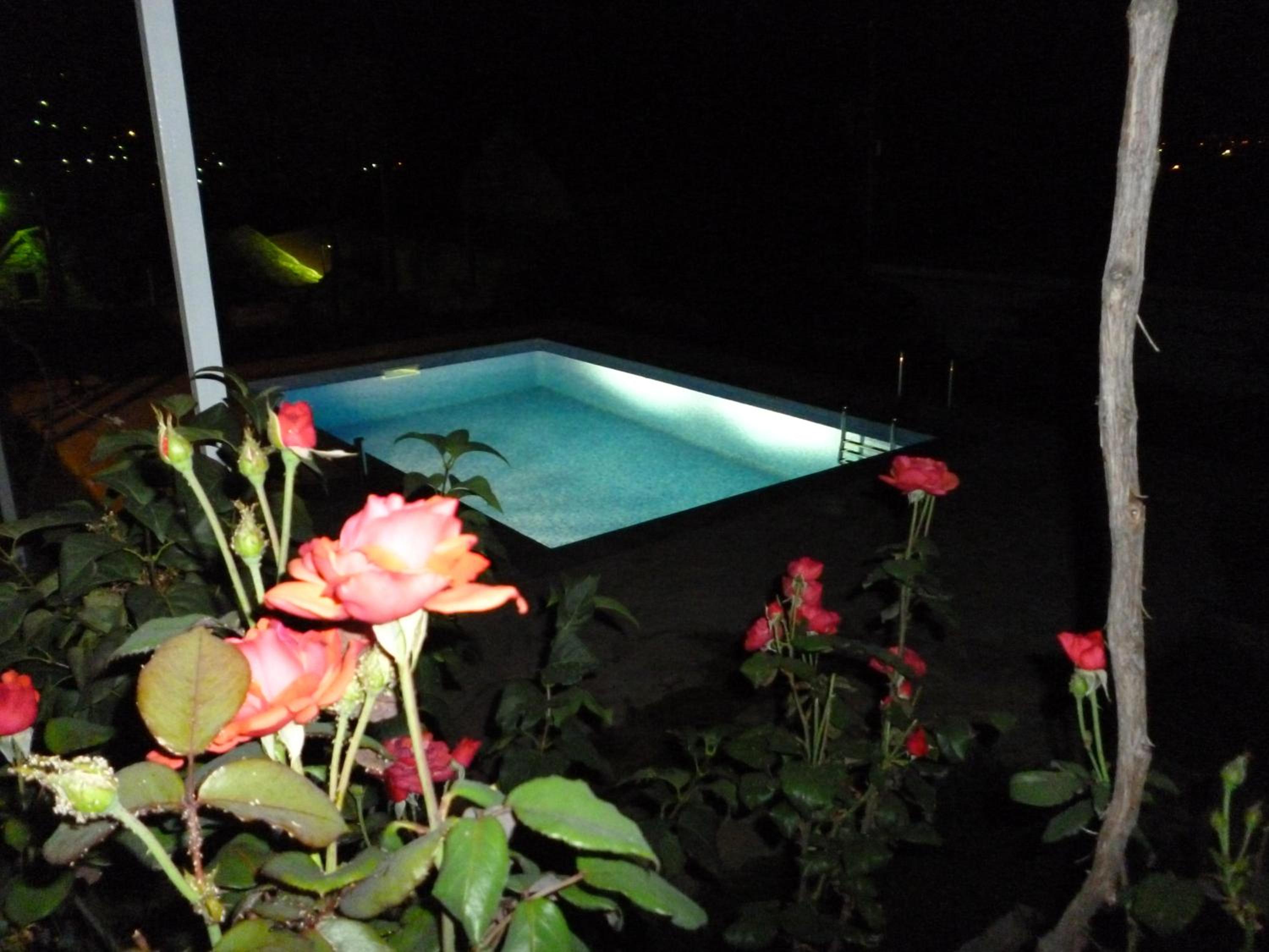 Photo 26