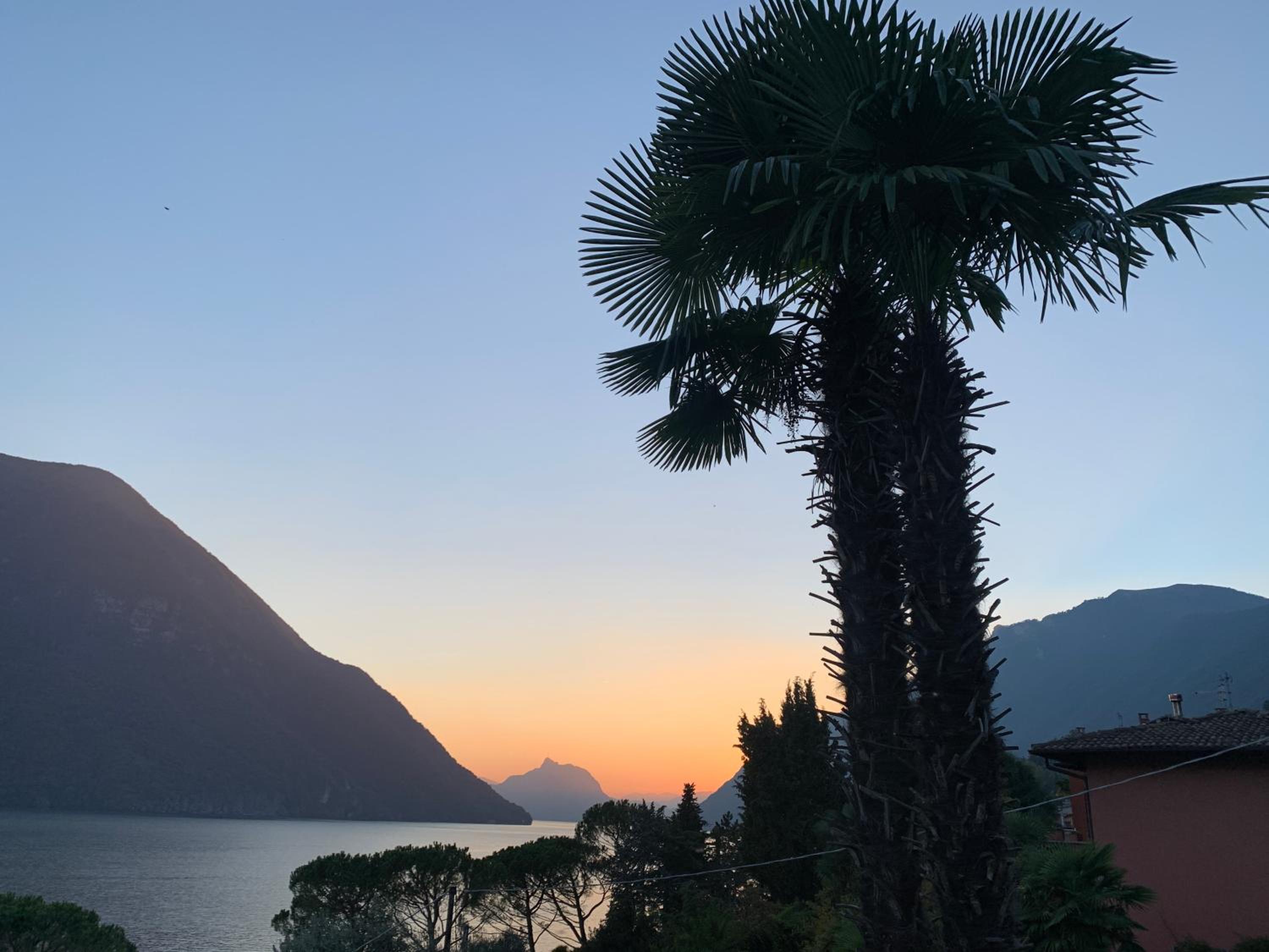 Hotel Room With A View Ginger