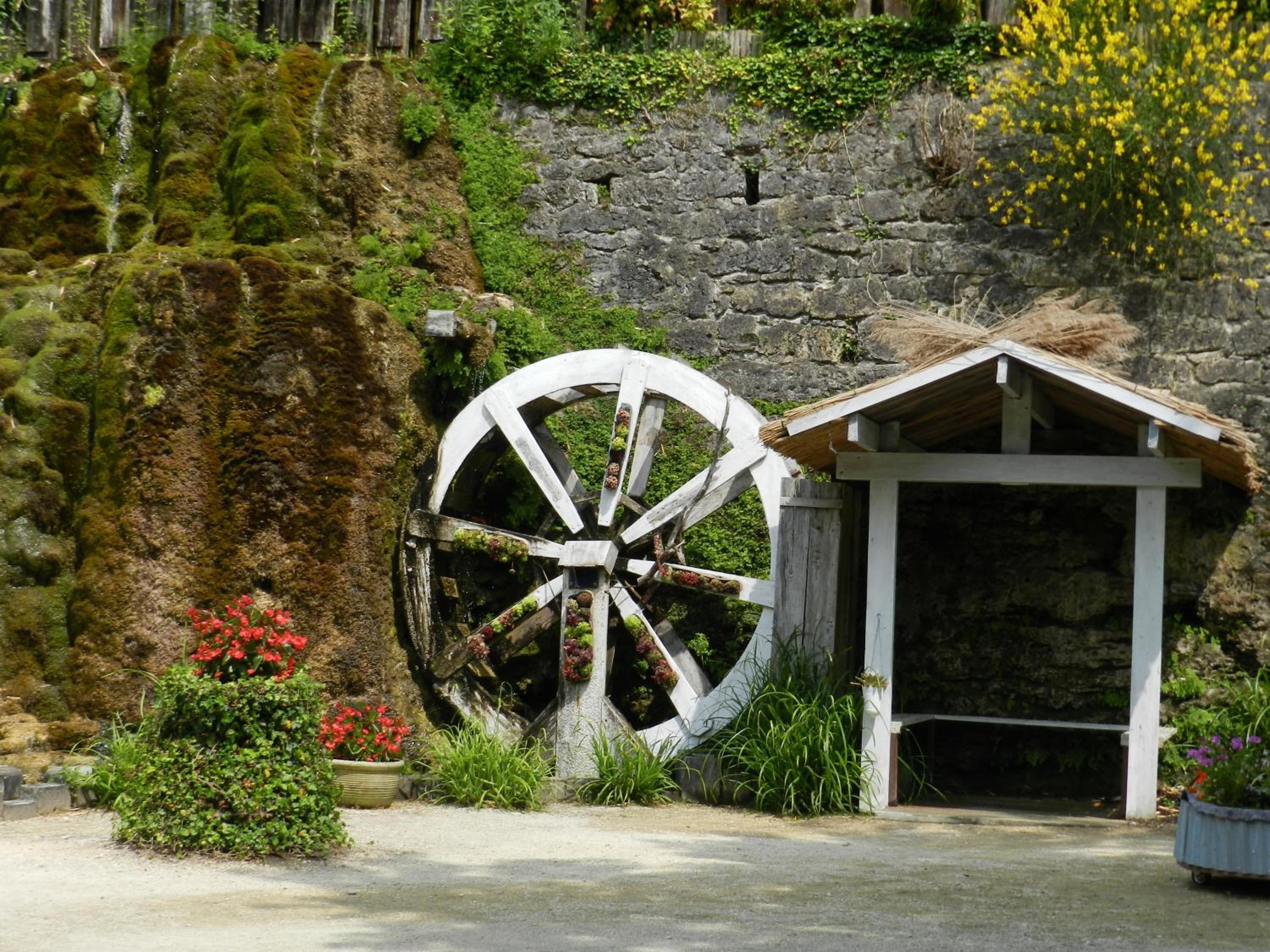 Photo 25