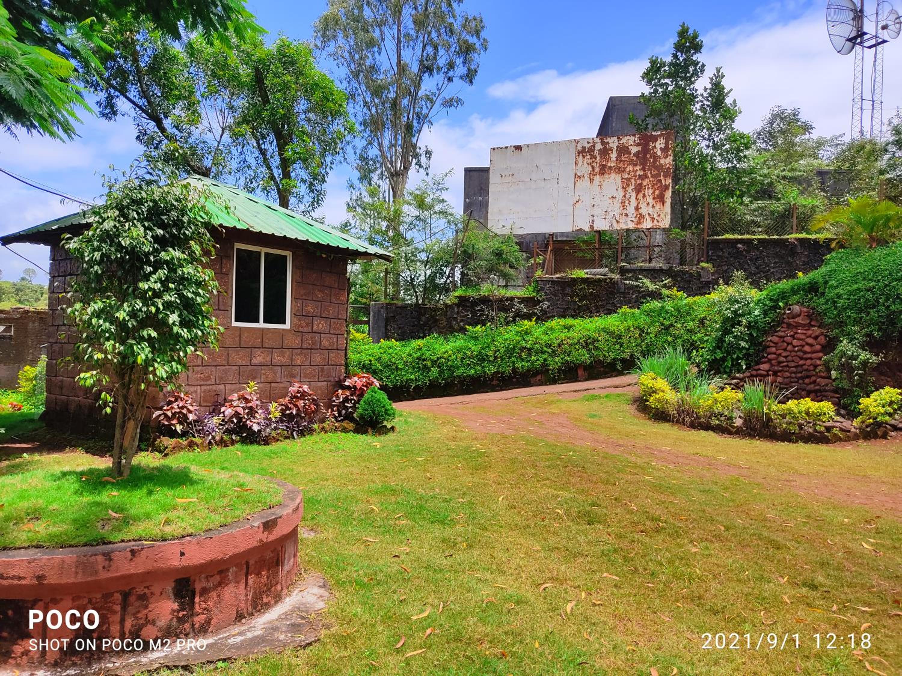 garden