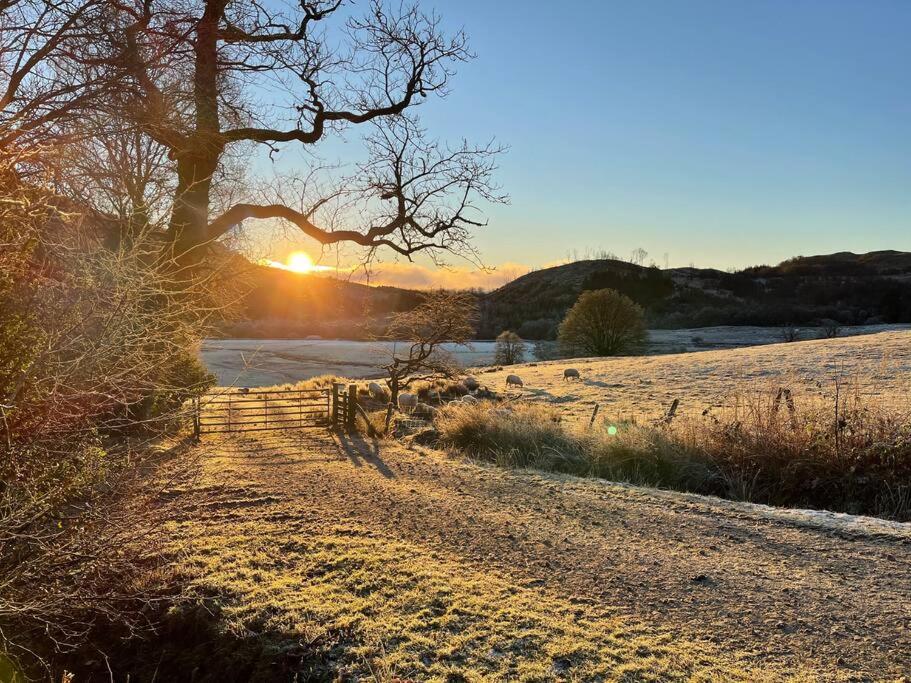Hotel Spacious lodge with king sized bed - Image 1