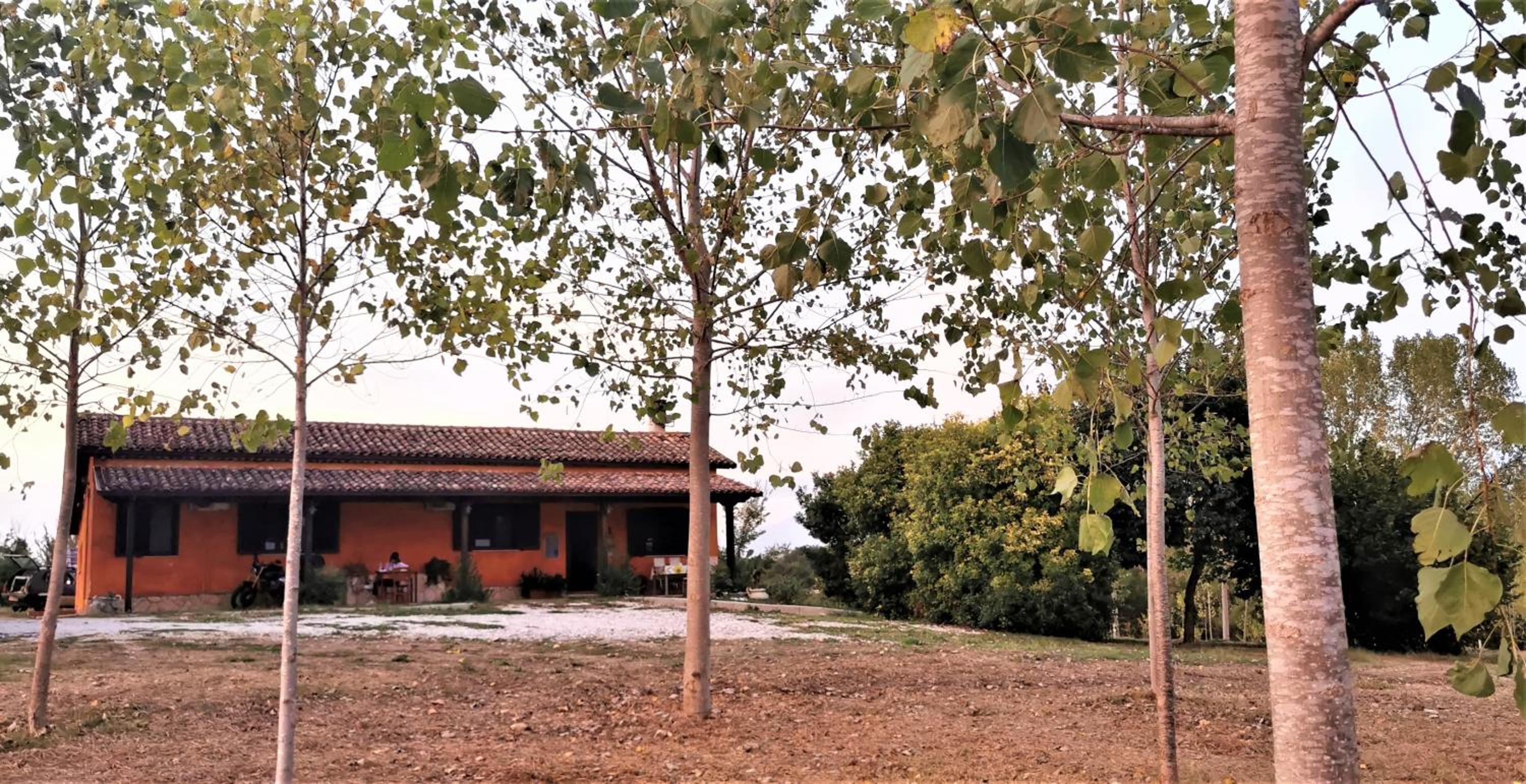 Il girasole b&b