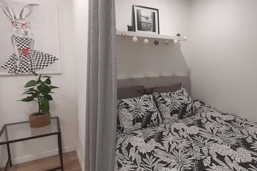 Lemuria Apartament Szkolna centrum view 4
