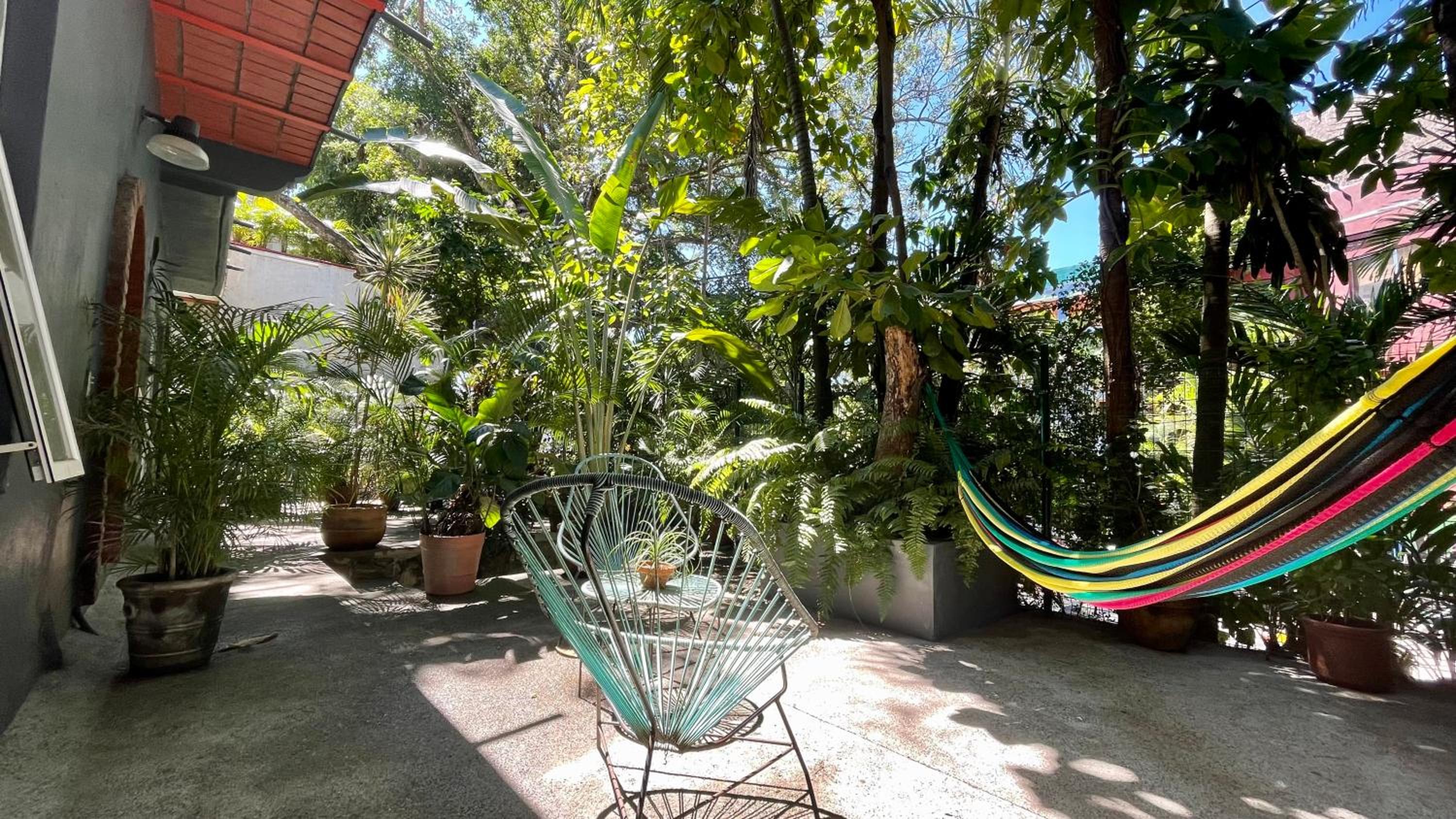 Apartamento Parota #
