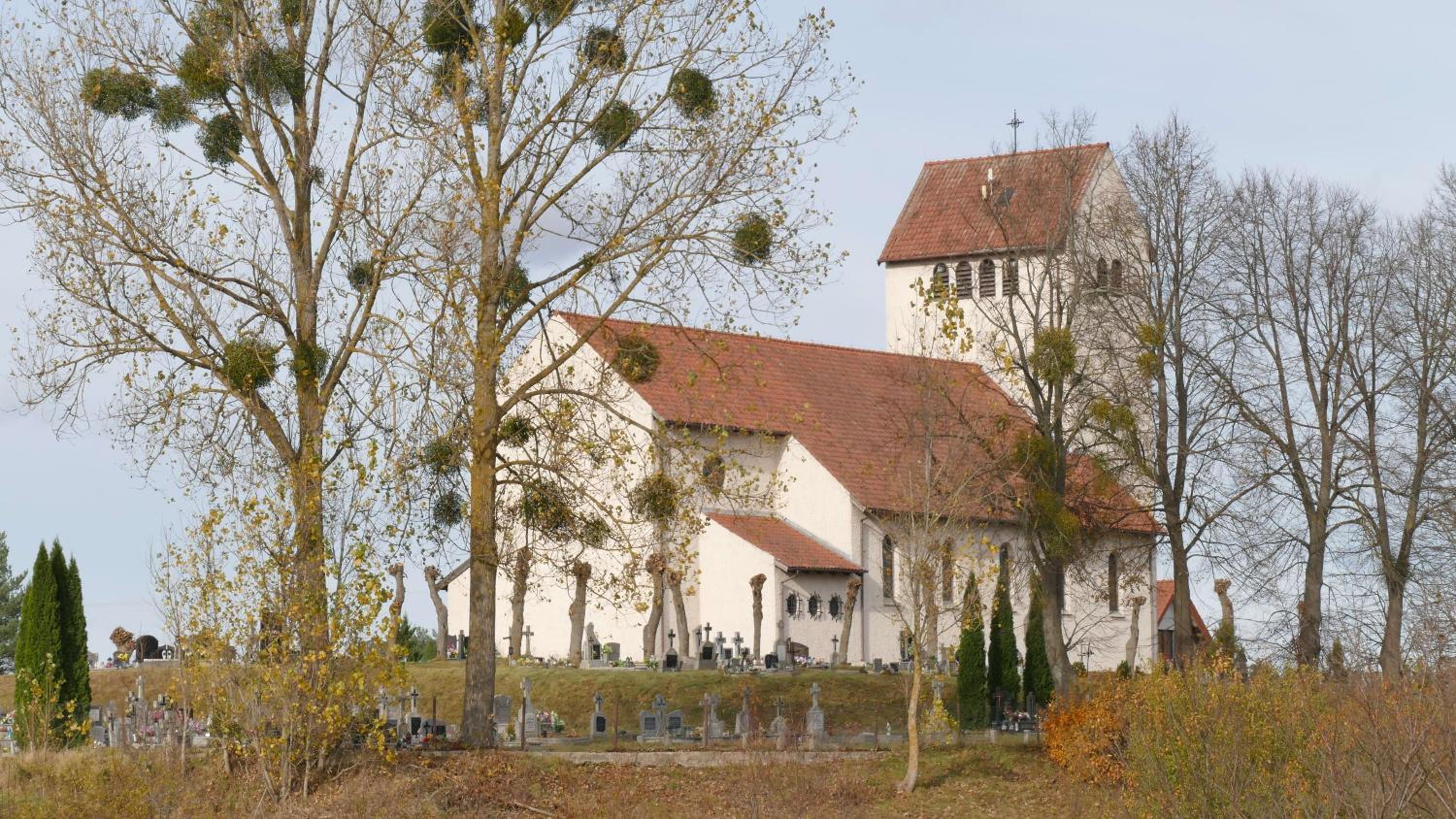 Photo 48