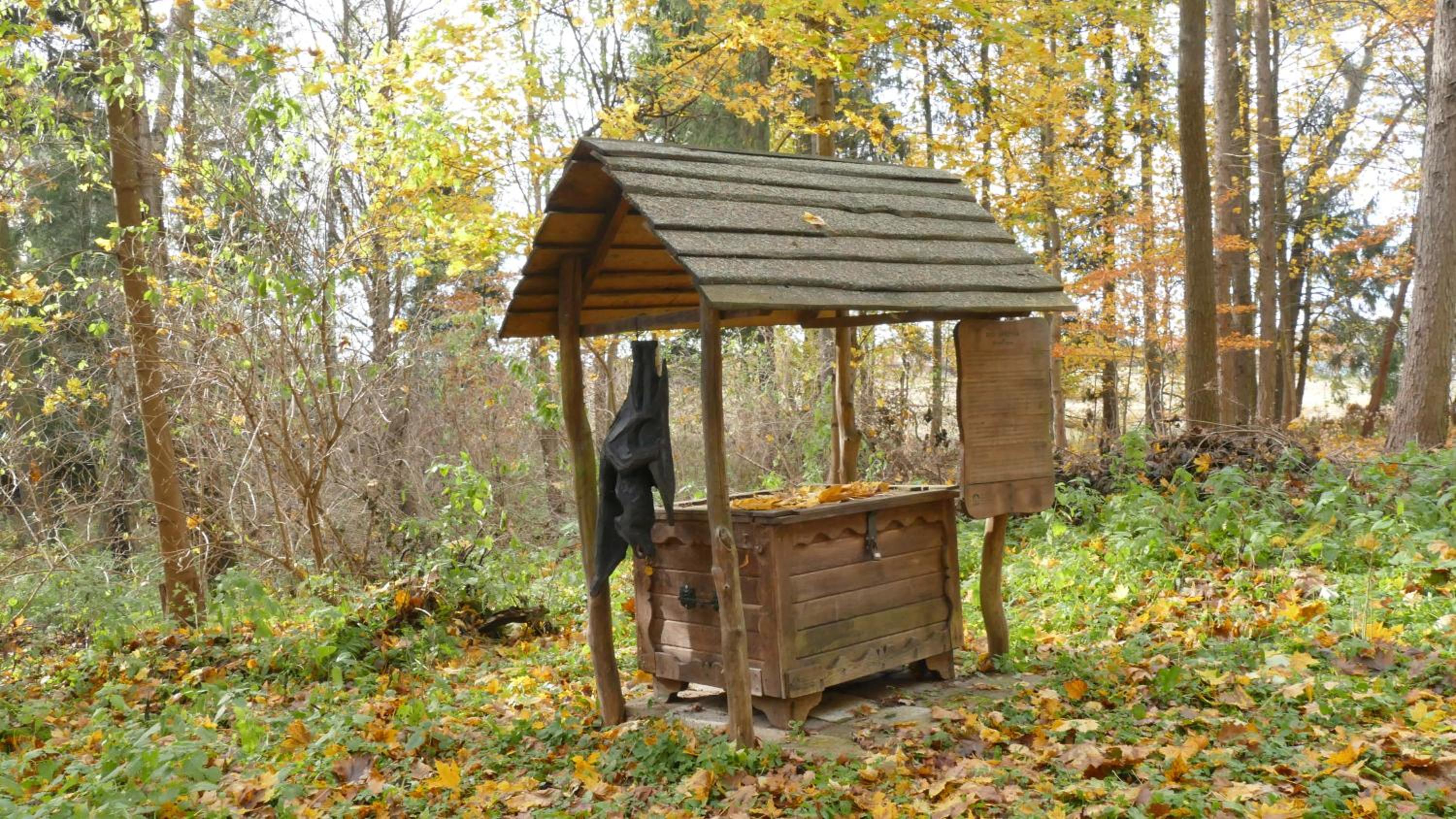Photo 25