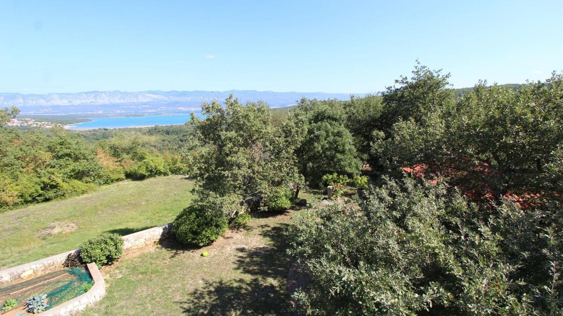 Apartments Damir