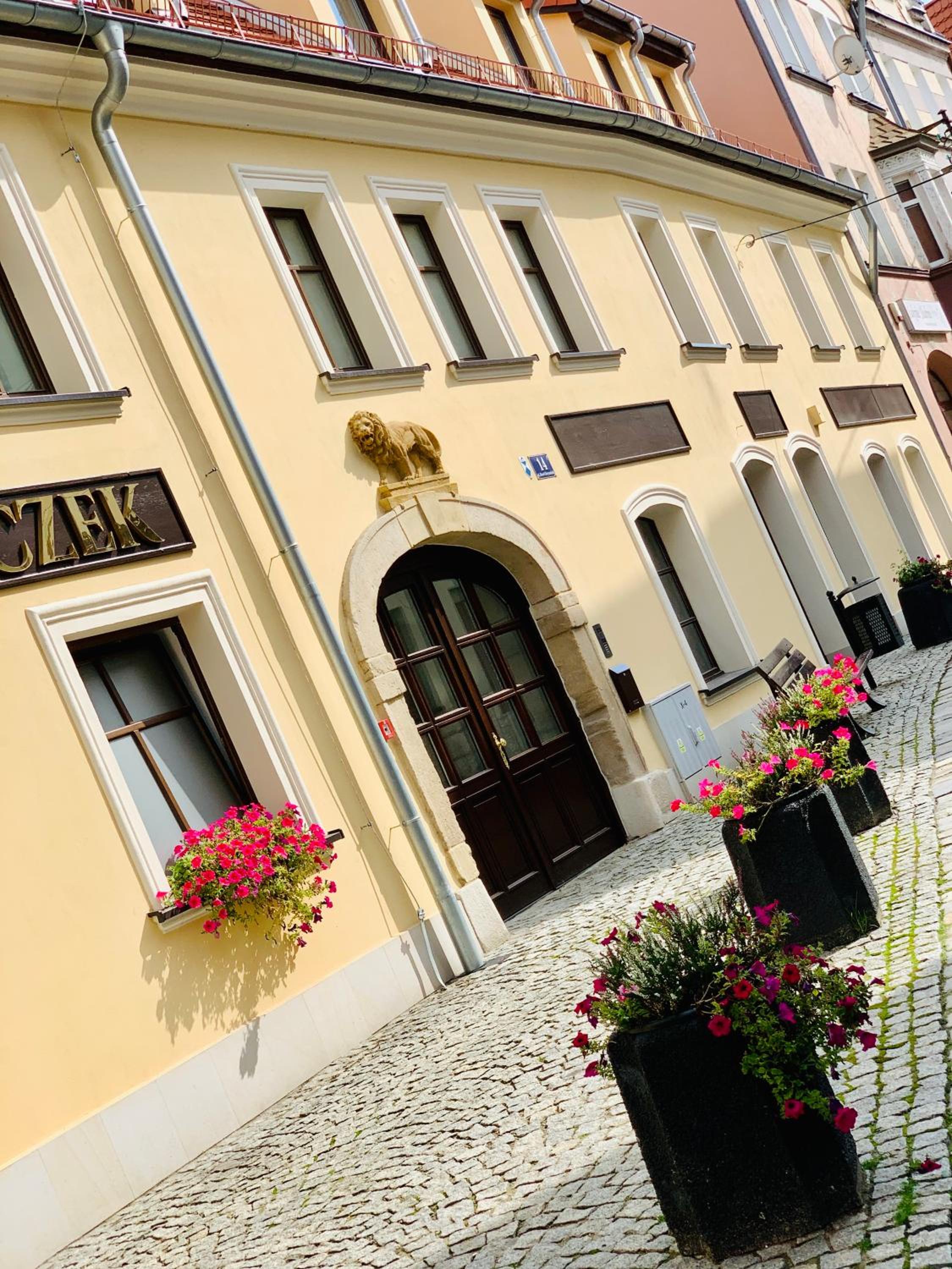 Apartament w samym sercu miasta z DARMOWYM PARKINGIEM Pod Złotym Lwem -hotel VI view 5