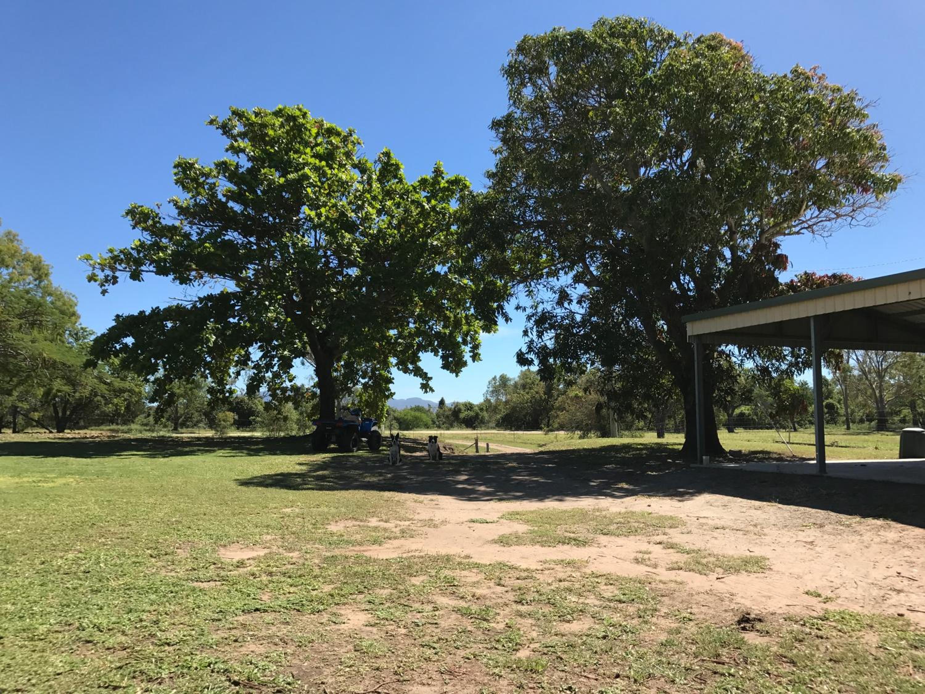Elliot River Retreat - Pet Friendly