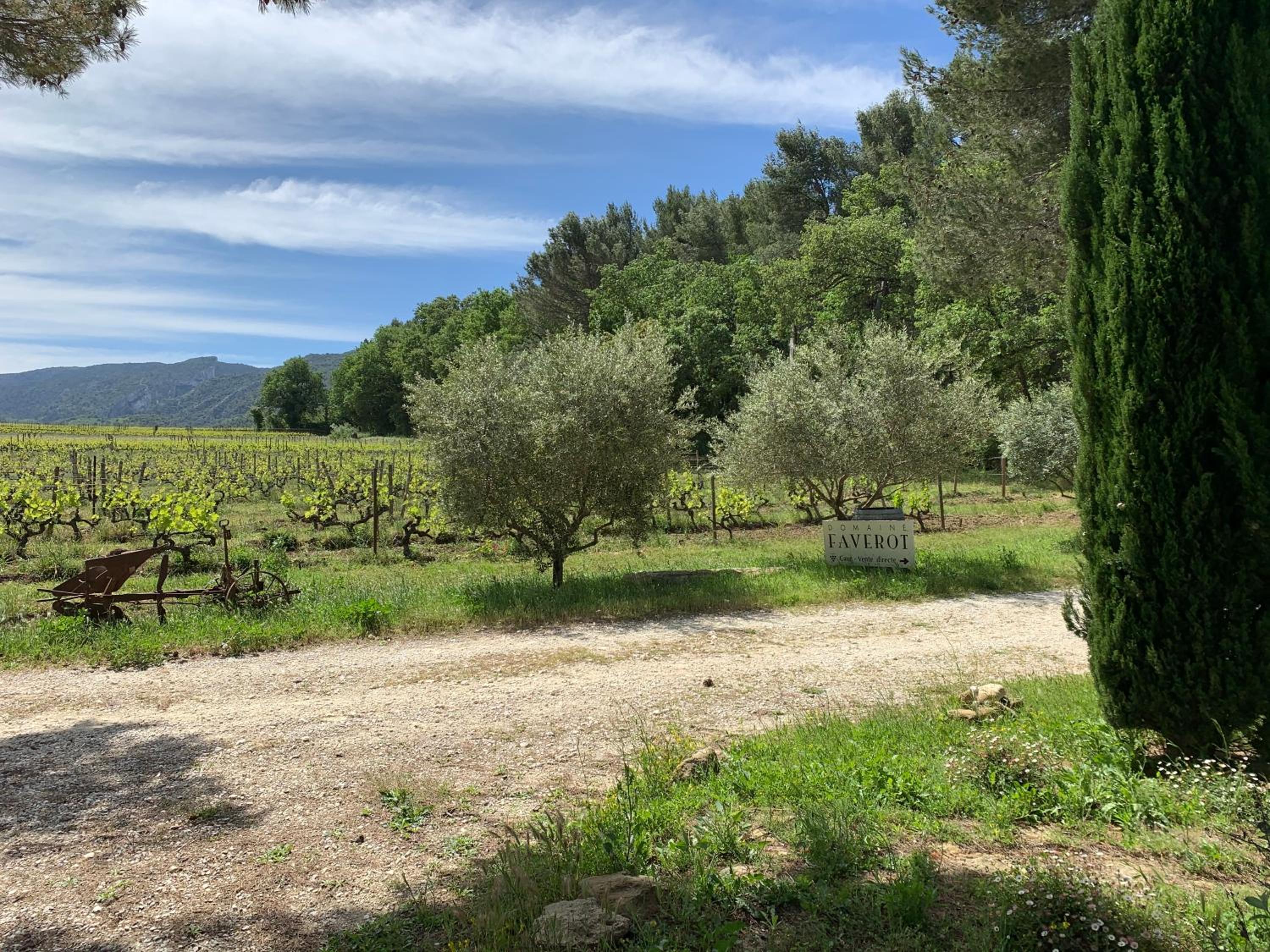 Domaine Faverot