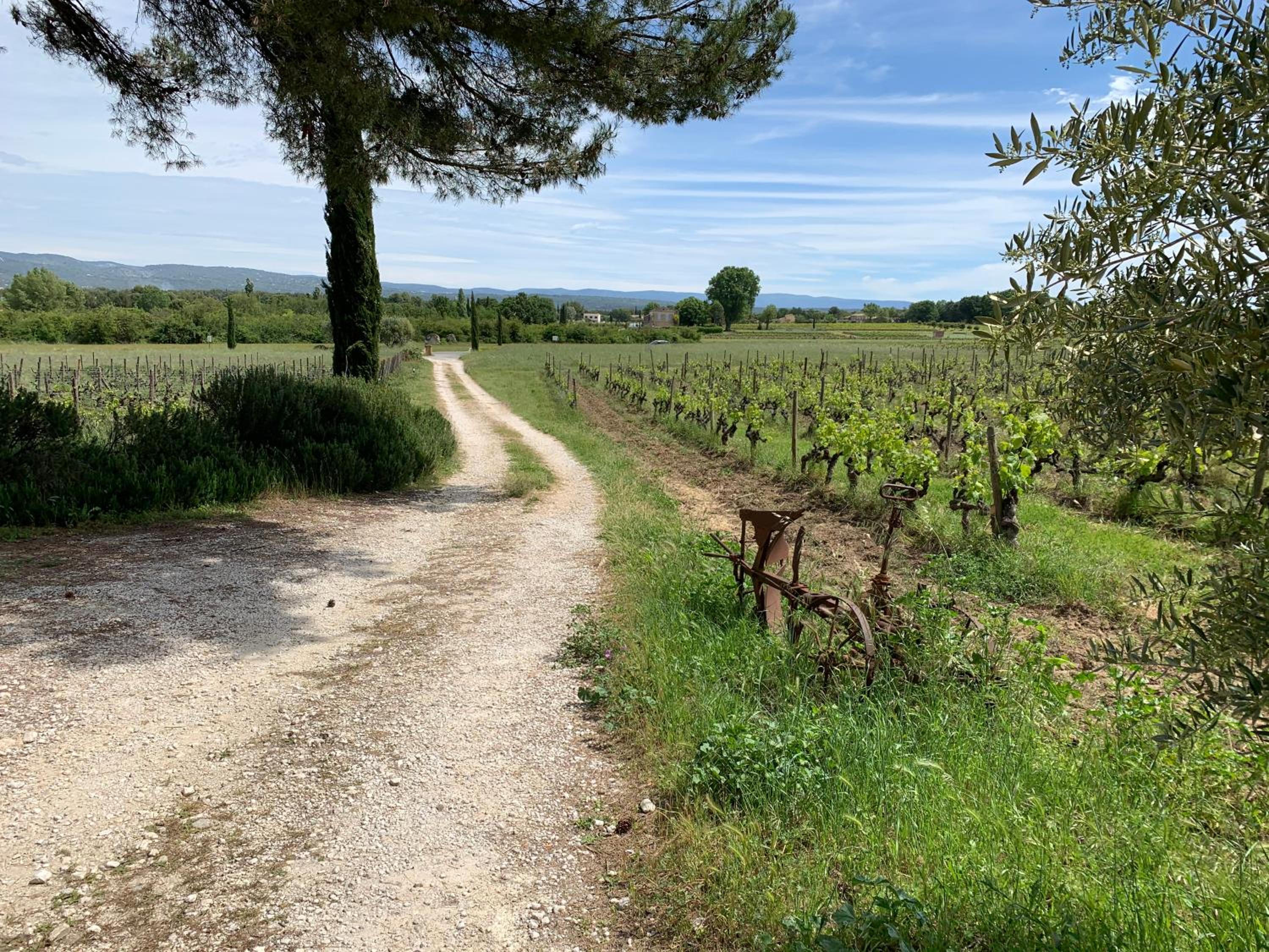 Domaine Faverot