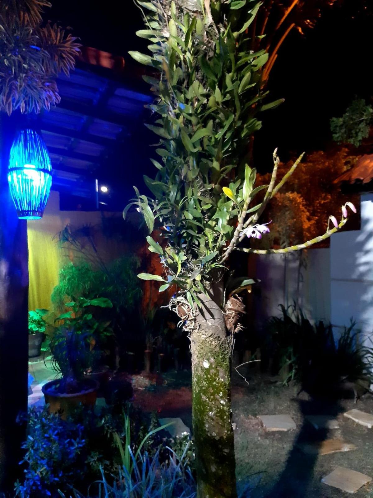 Jardim Encantado da Lagoa