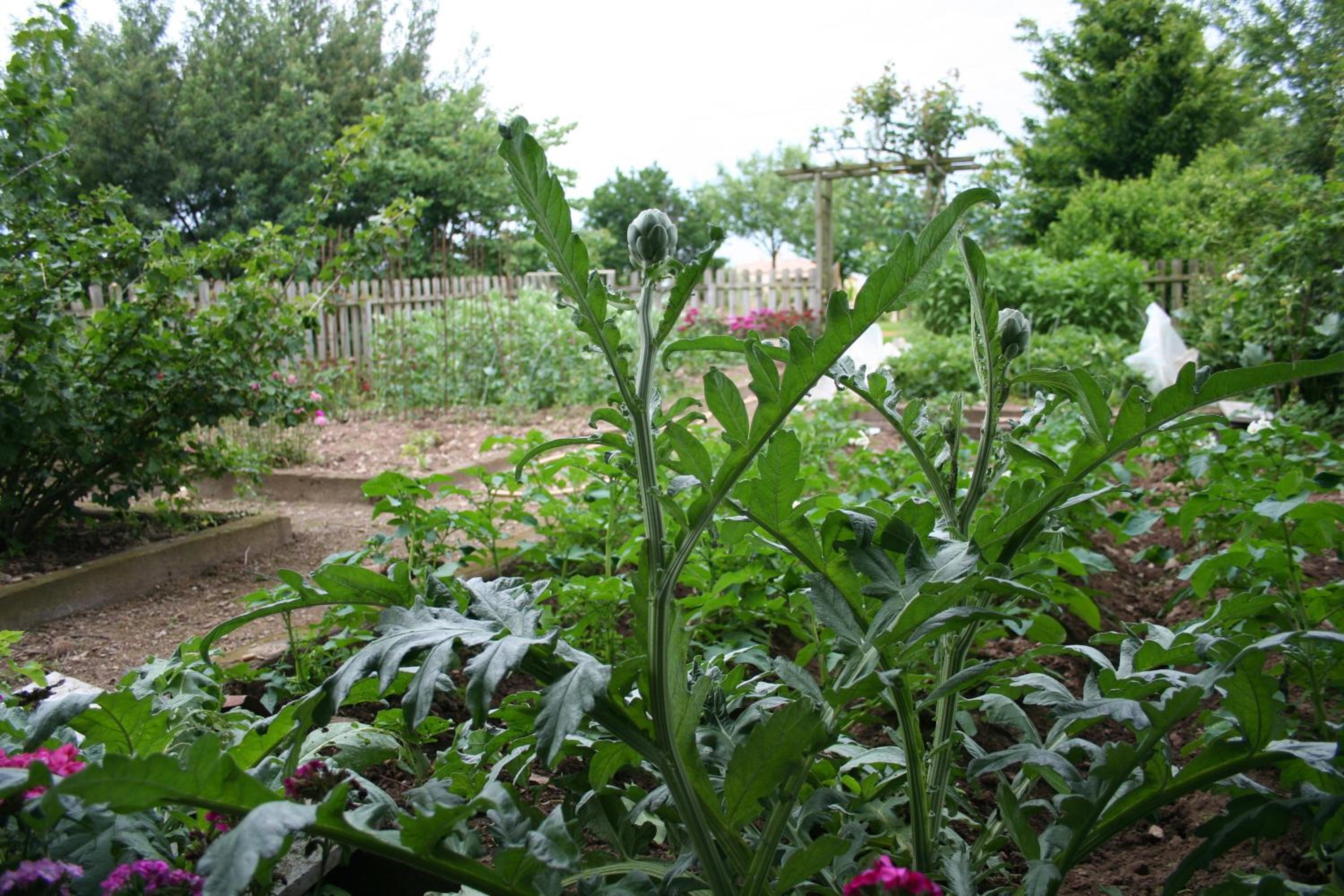 Photo 25