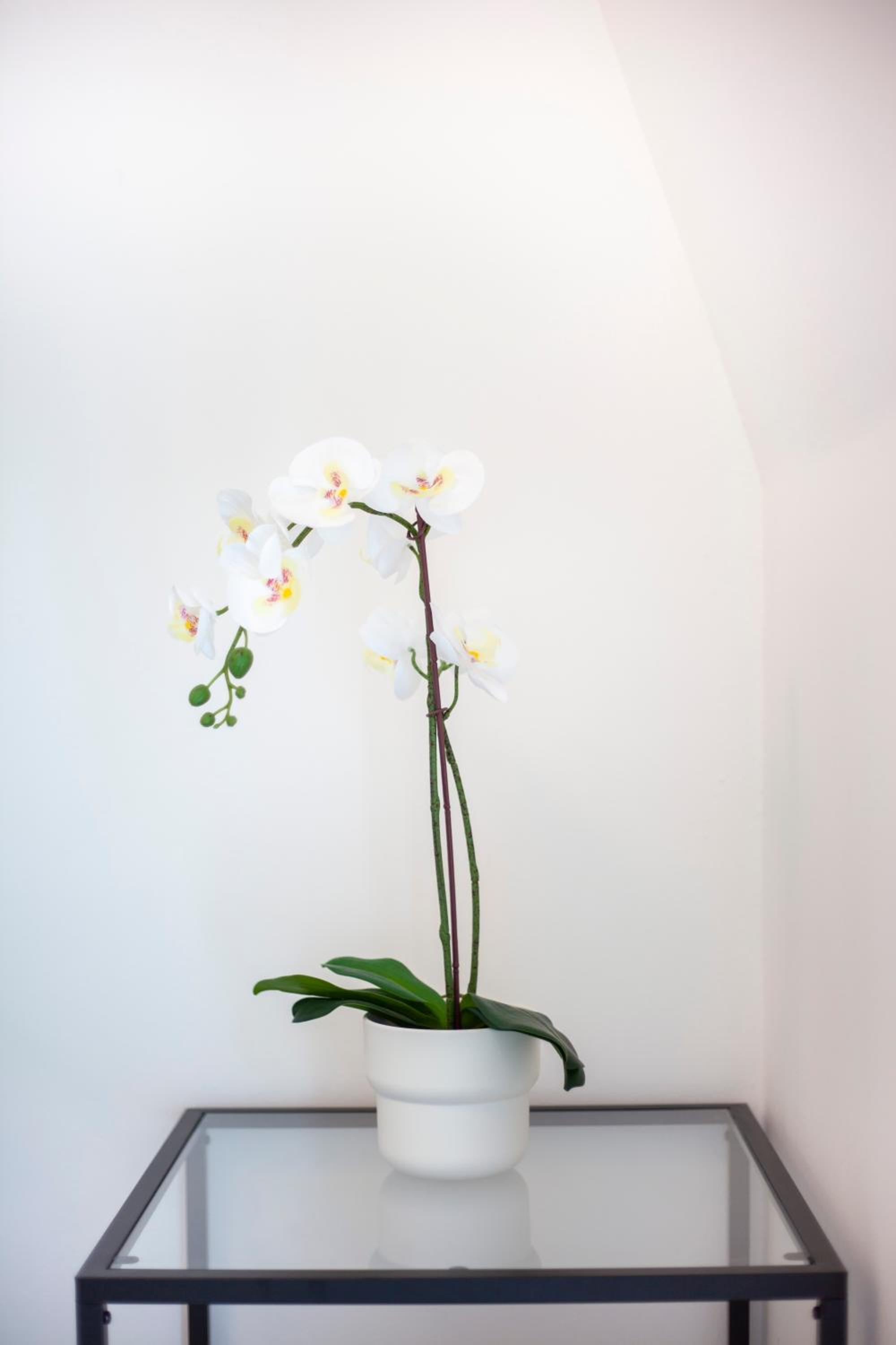 LUXE Studio Near Discovery Gardens Metro Station