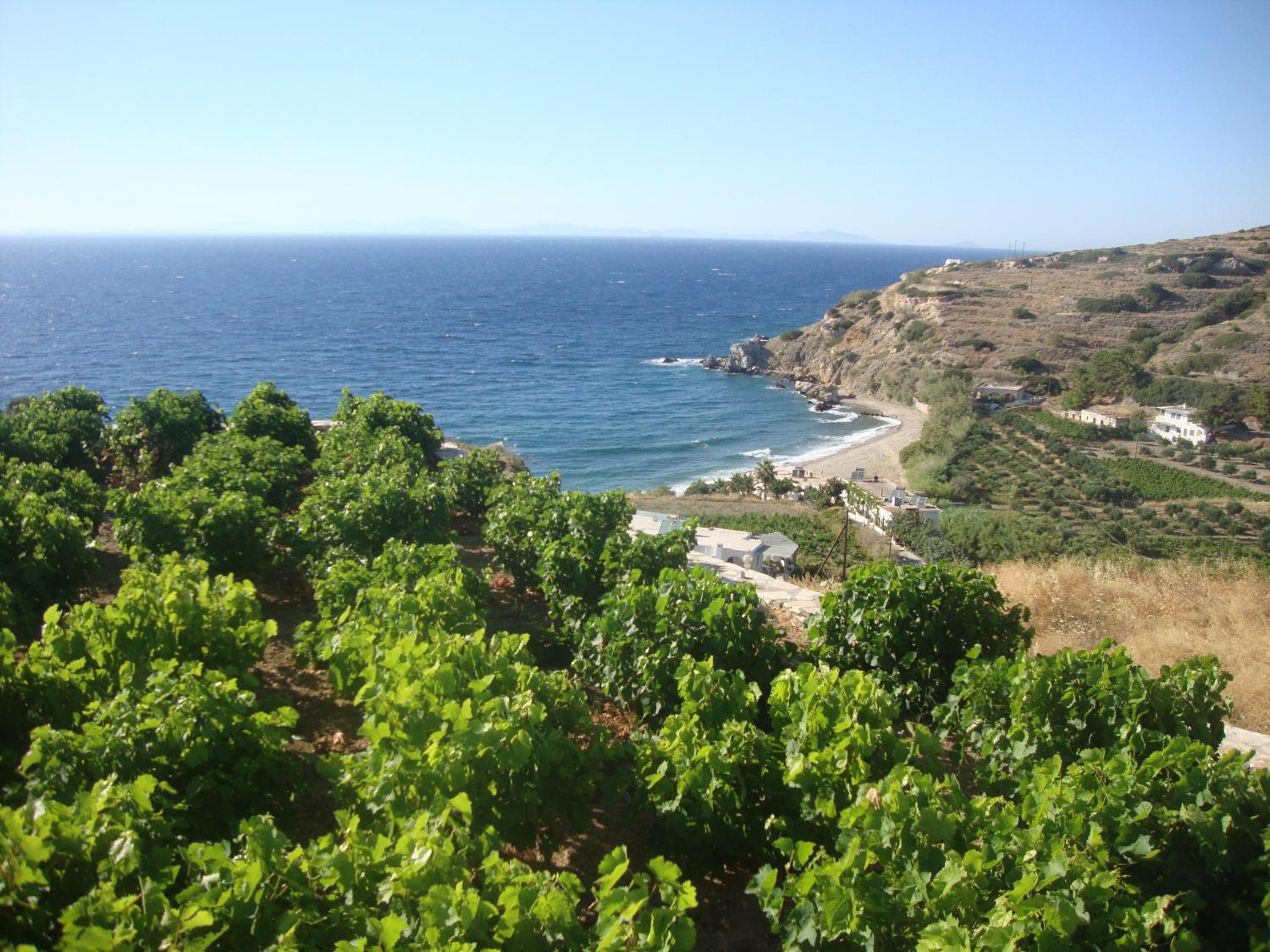 Villa Athina