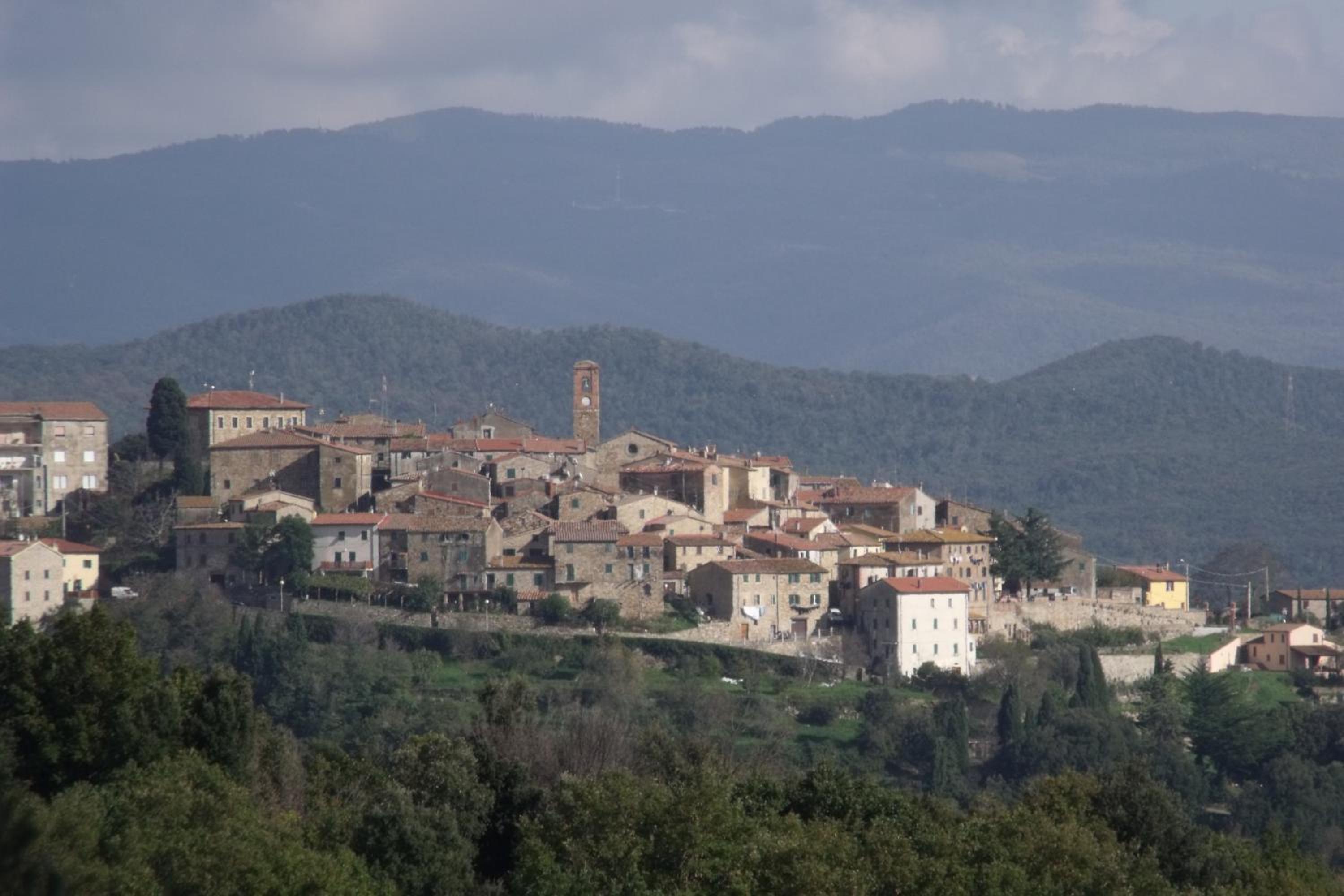 Villino Rosi photo 2