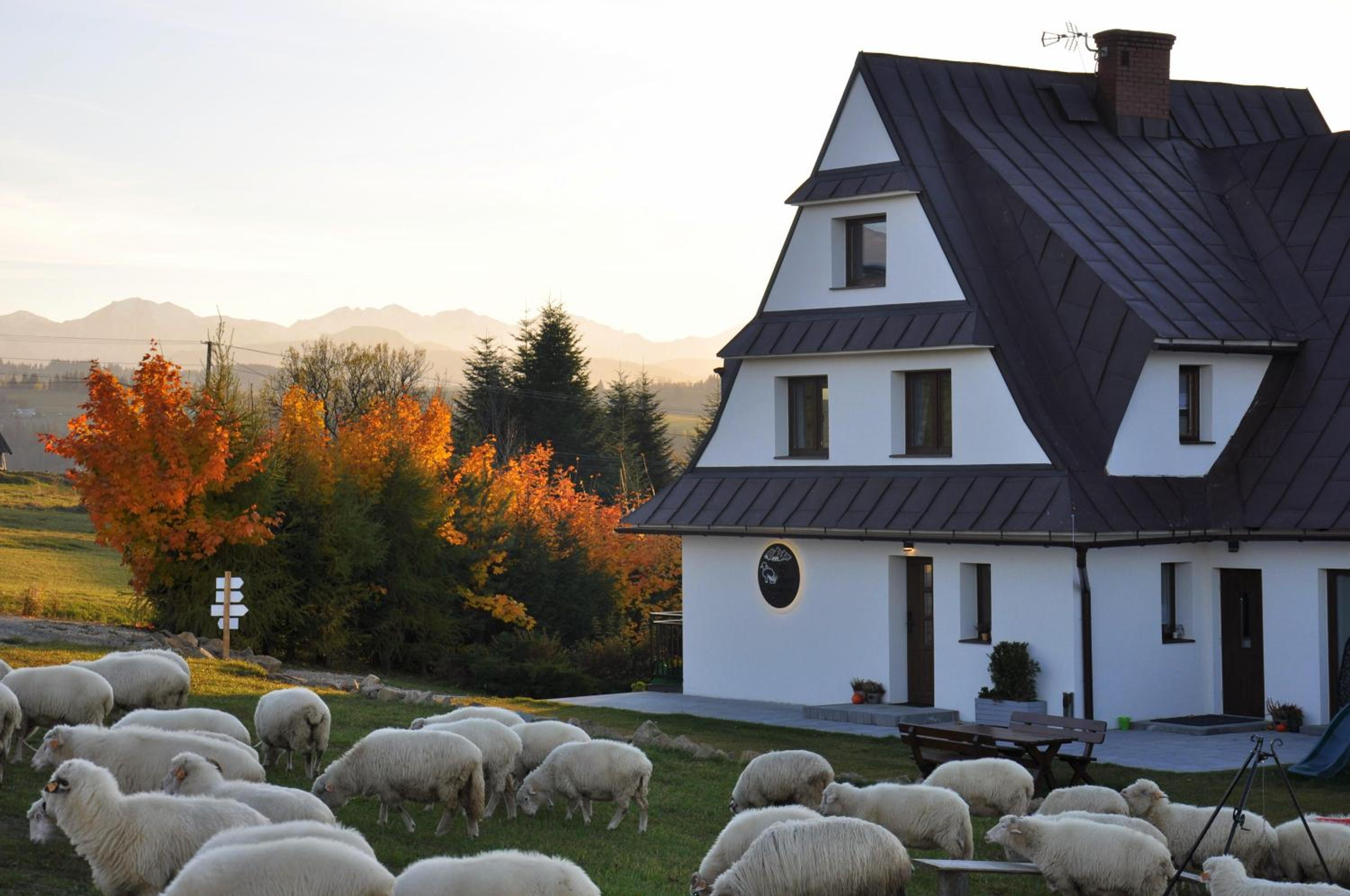 TATRY NA WYPASIE view 3