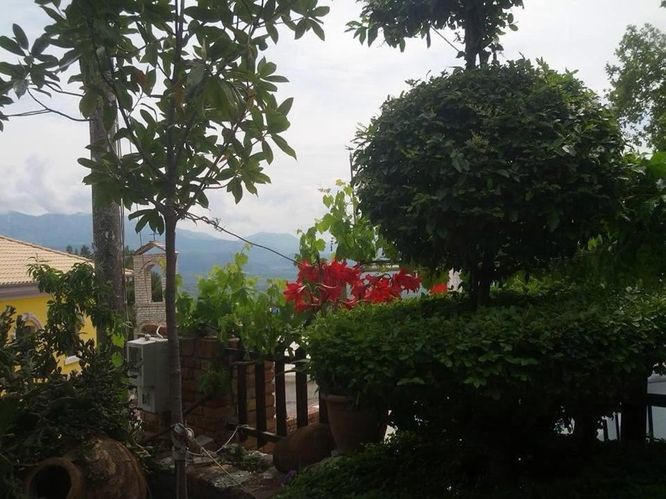 Villa Muzhaqi