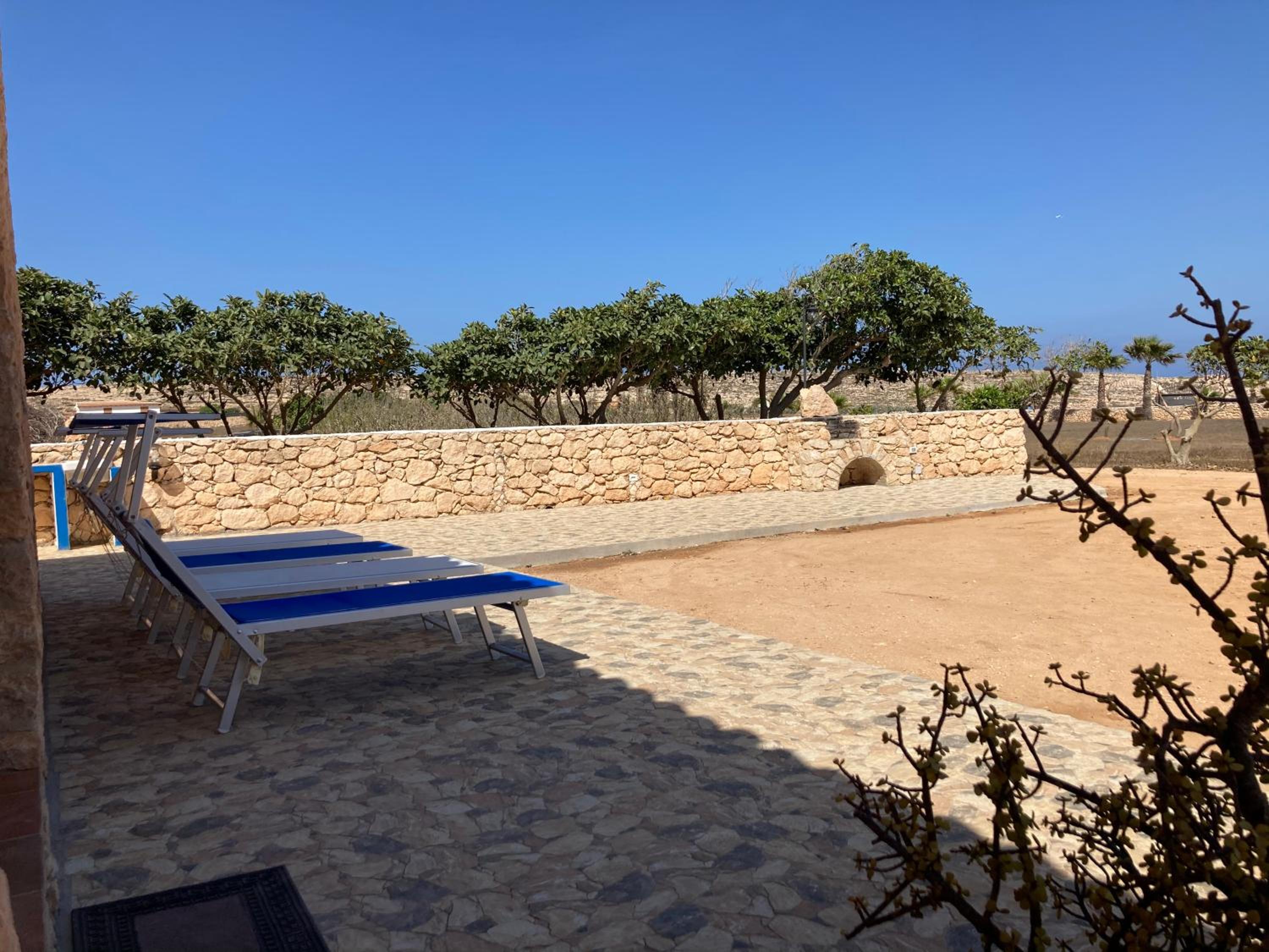 DAMMUSI JERIMAR photo 3