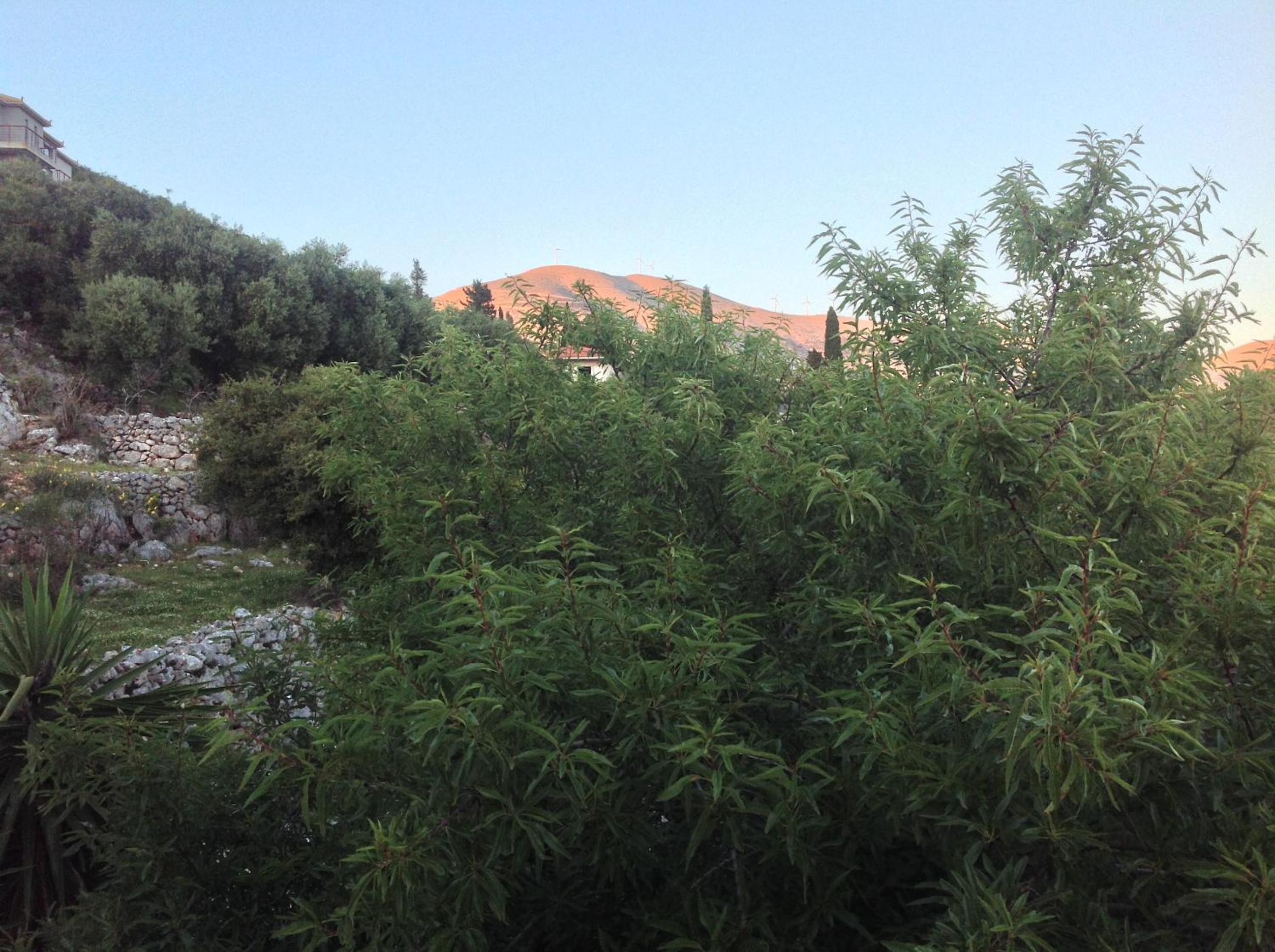 Asteras Studios