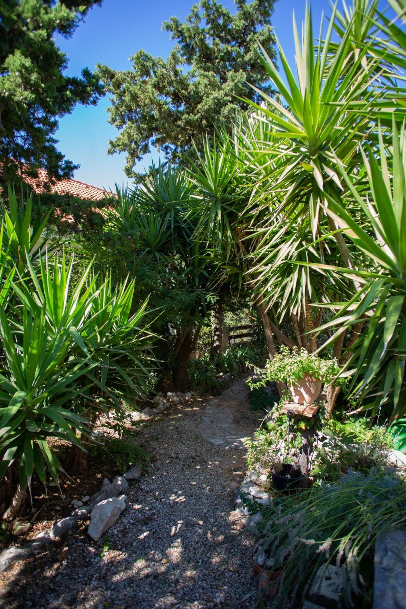 Hotel Apartments Yucca - Image 1