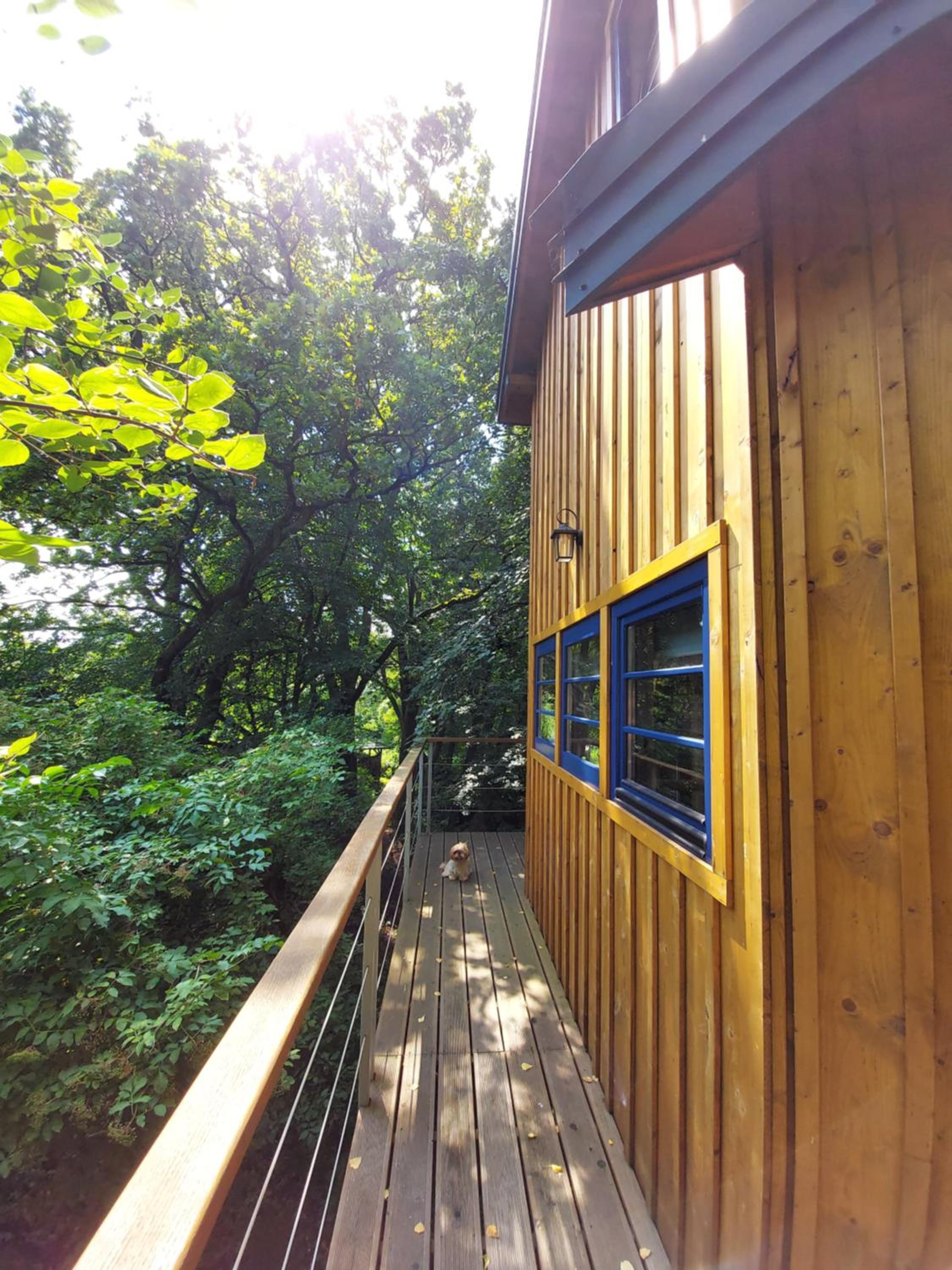 Węgiełek Treehouse