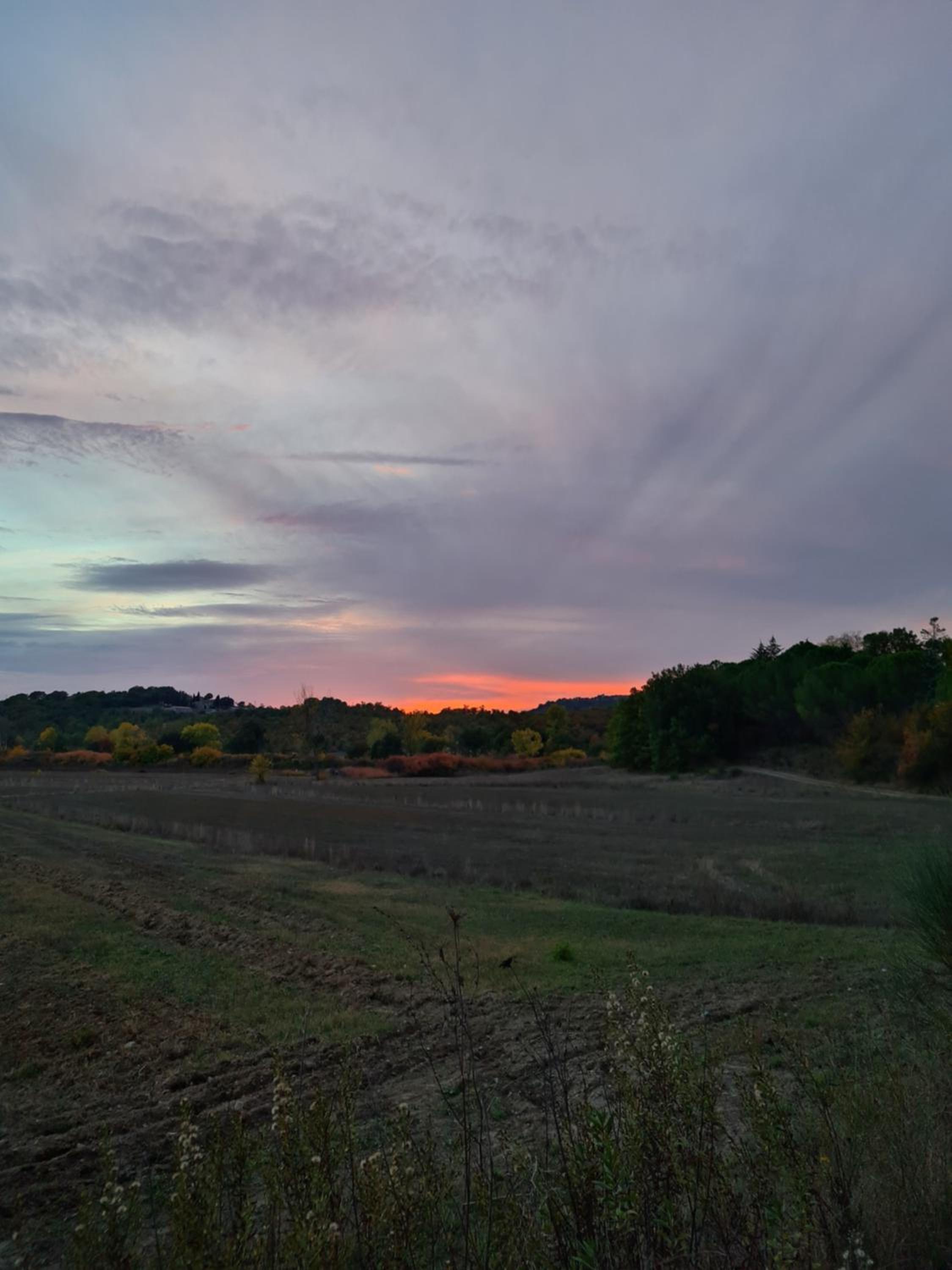 Country Home in Tuscany photo 4