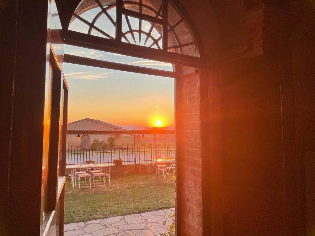 Agriturismo Monte Oliveto Maggiore, Podere LE PIAZZE view 3