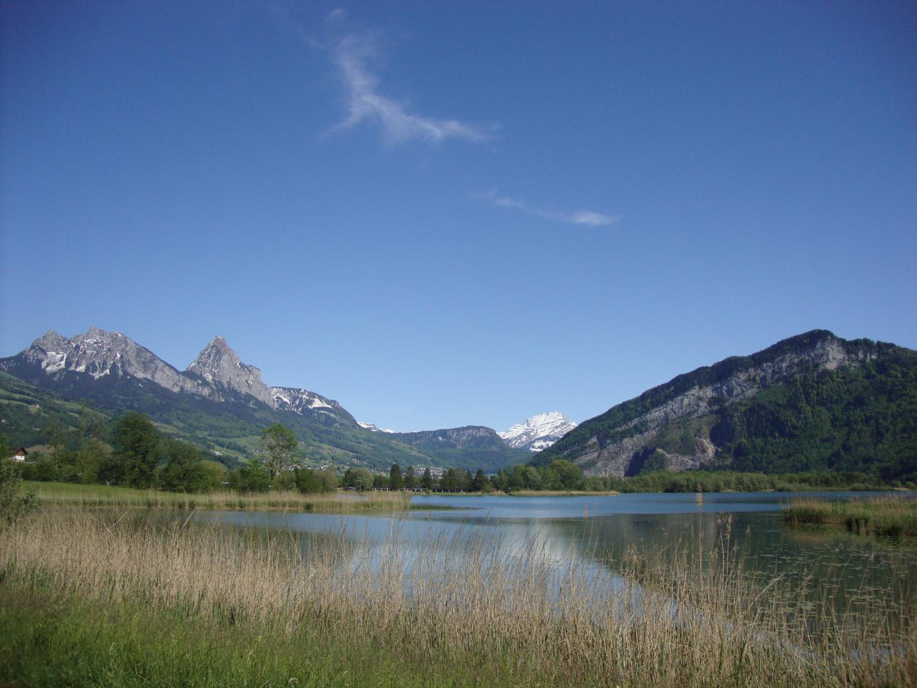 Hirschfarm, Goldau