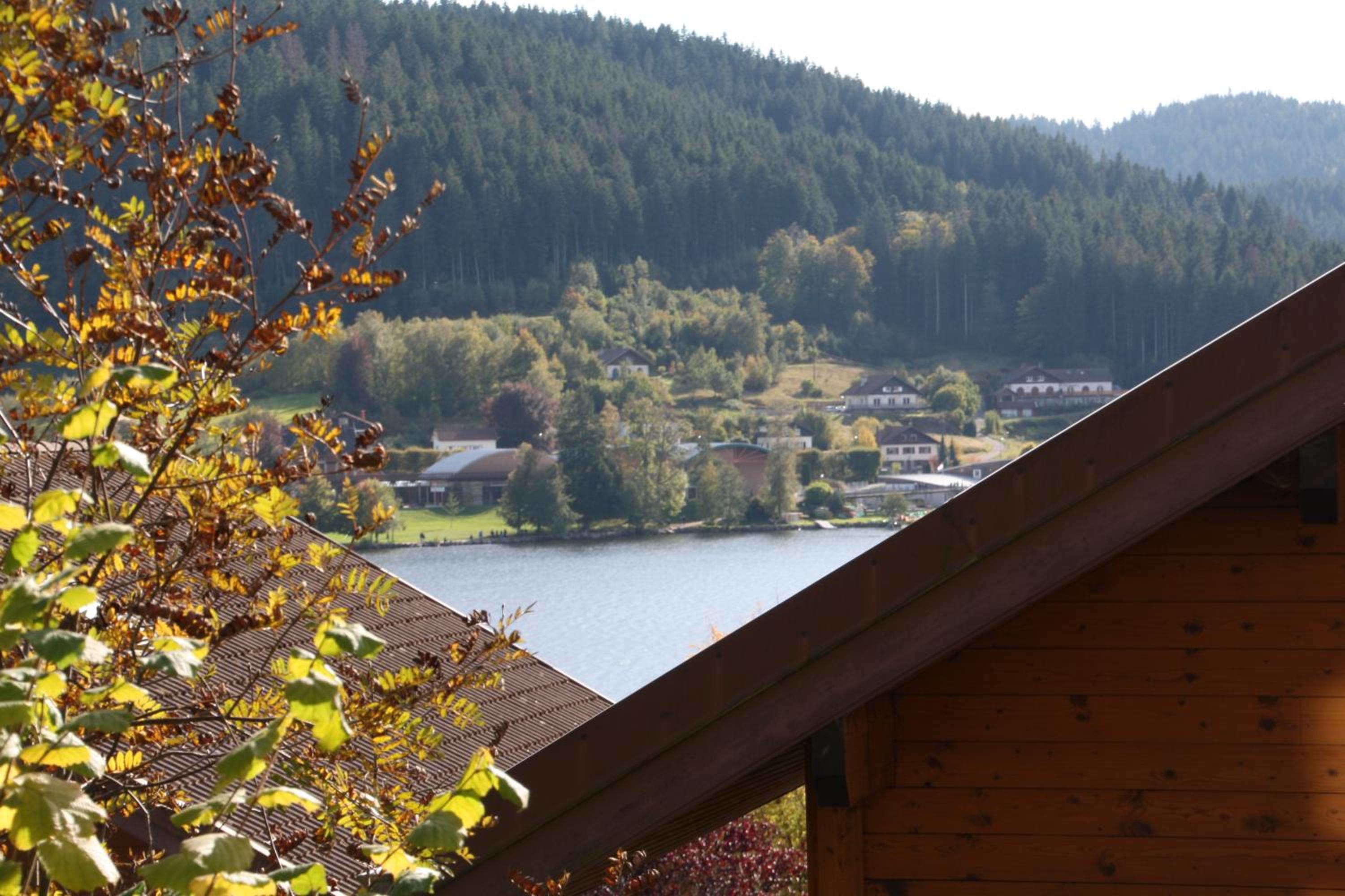 Chalet Vosgien
